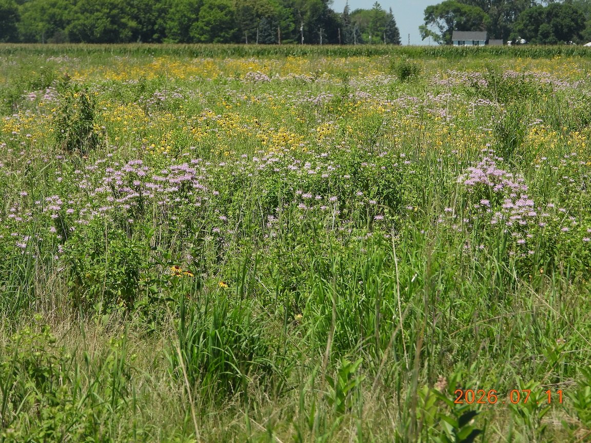 711202604DSCN5275.JPG