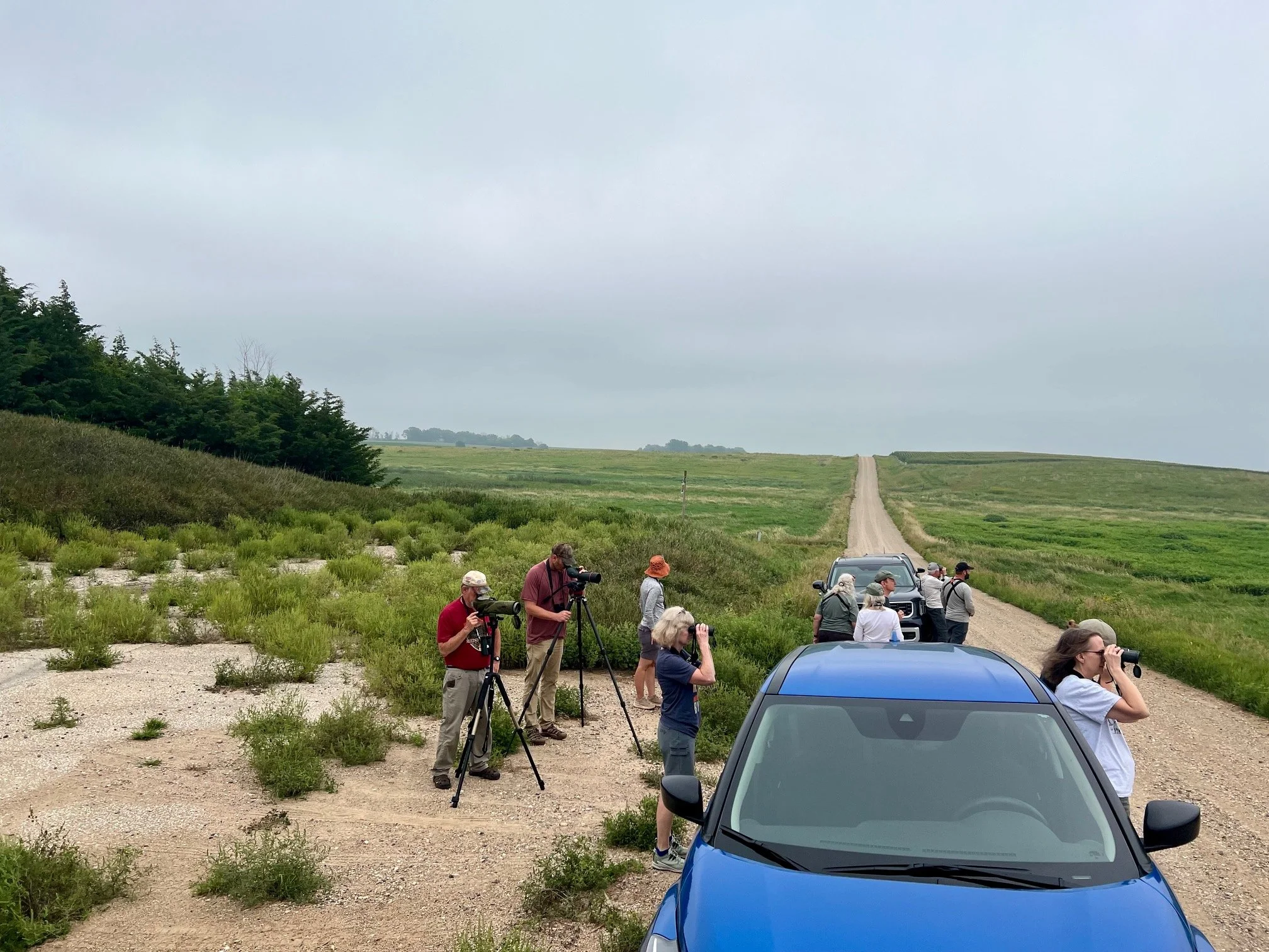 Birders 1.jpeg
