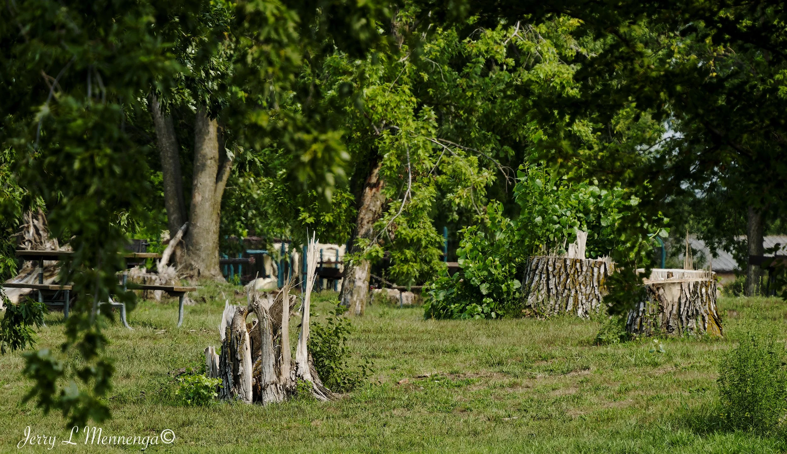 BirdsSnyderBendPark202608-09_0424_DxO.jpg