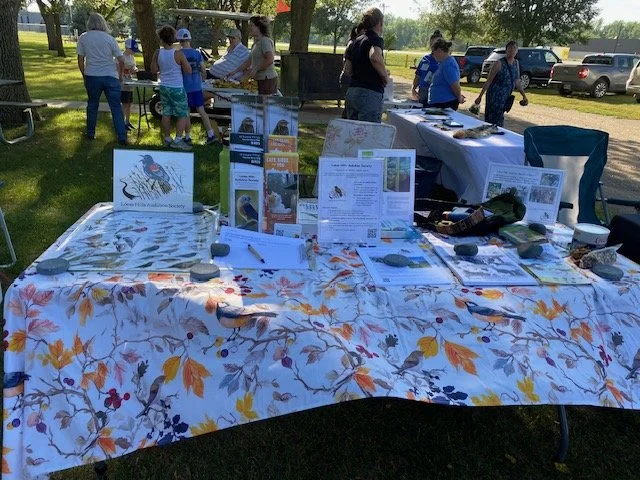IMG_8389.jpeg