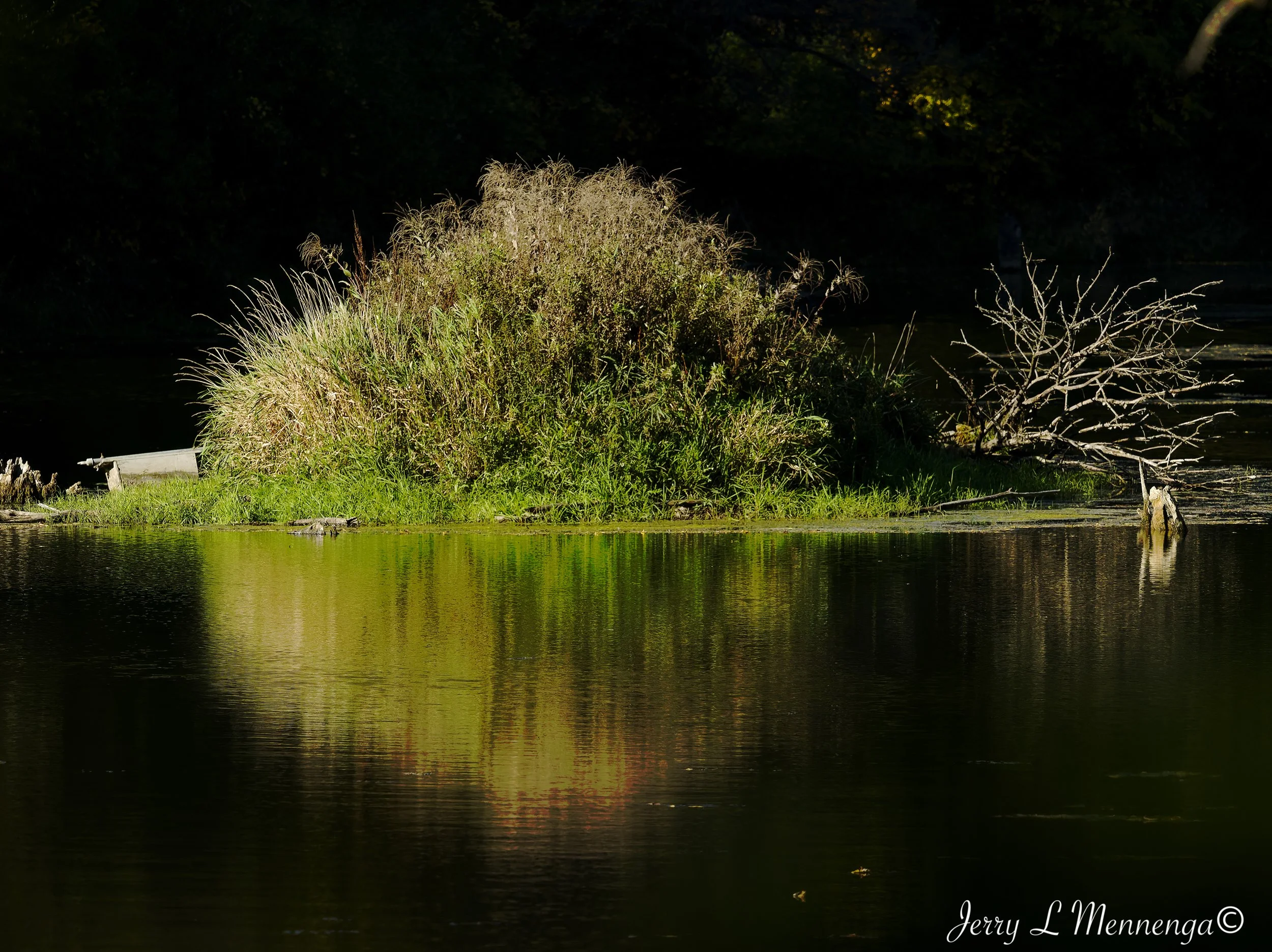 BirdsLHASStoneState202610-10_0572_DxO.jpg