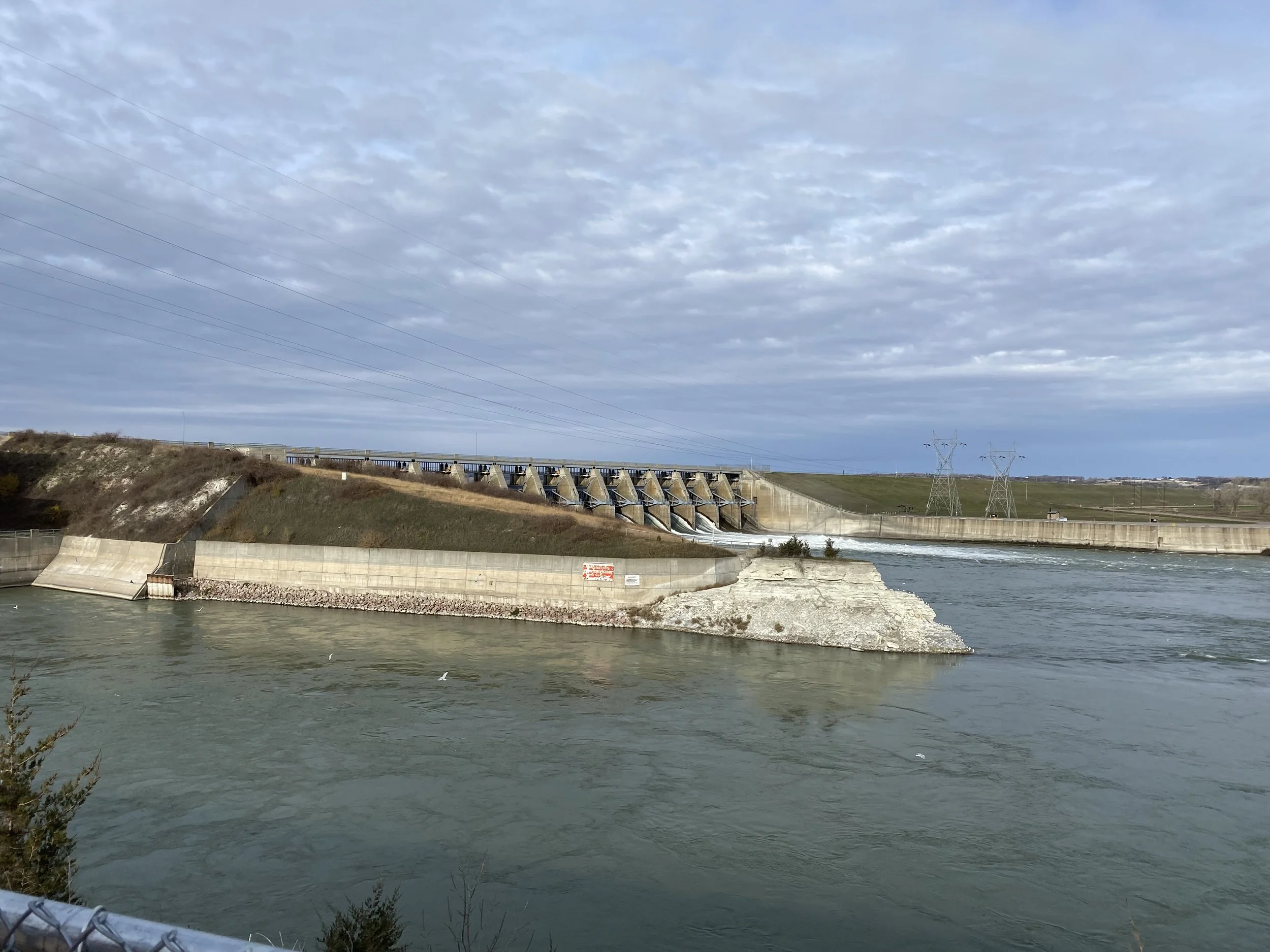 Bird Outing to Gavin's Point Dam