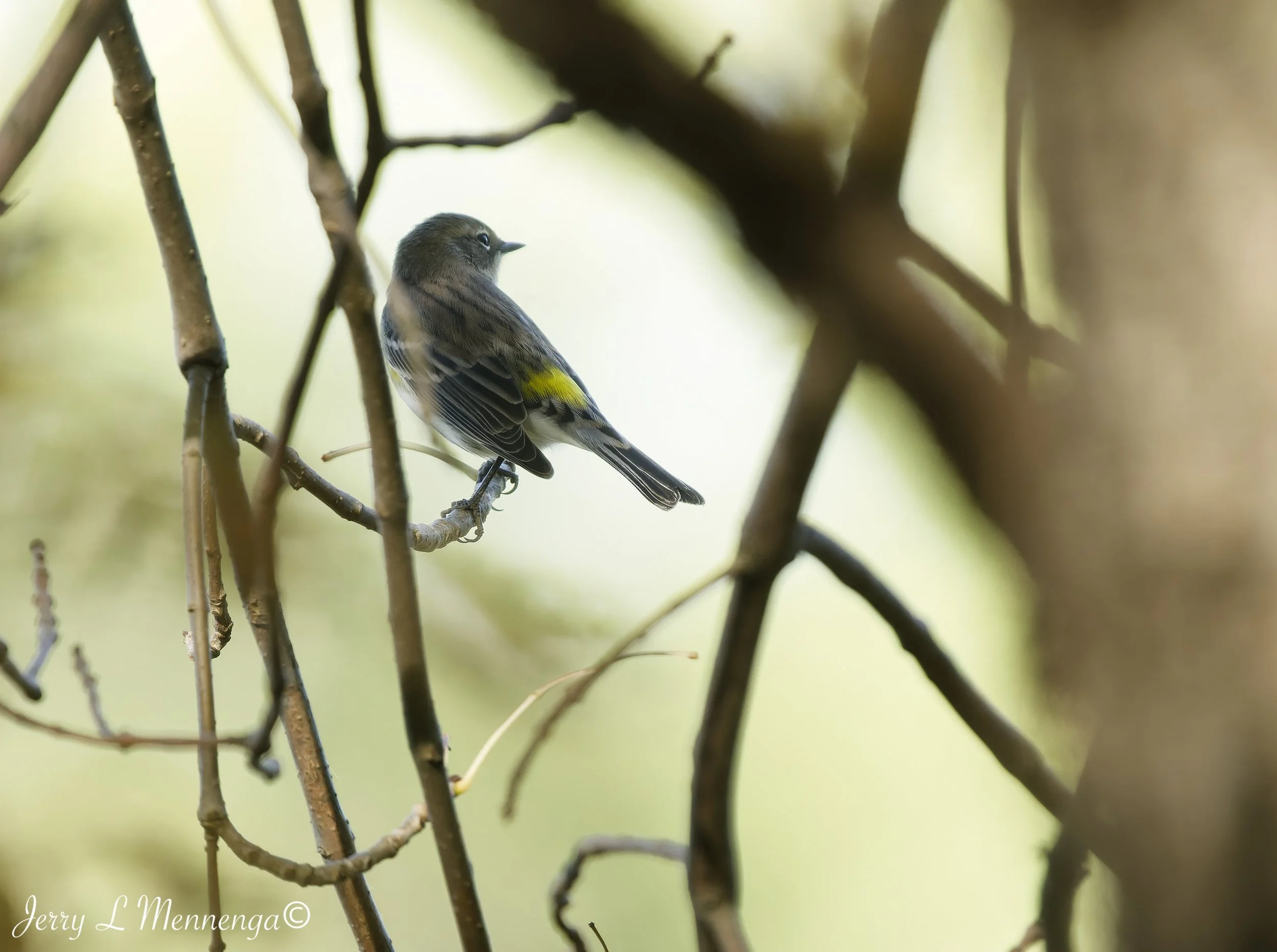 BirdsFallAdamsHomestead202610-06_0124_DxO.jpg