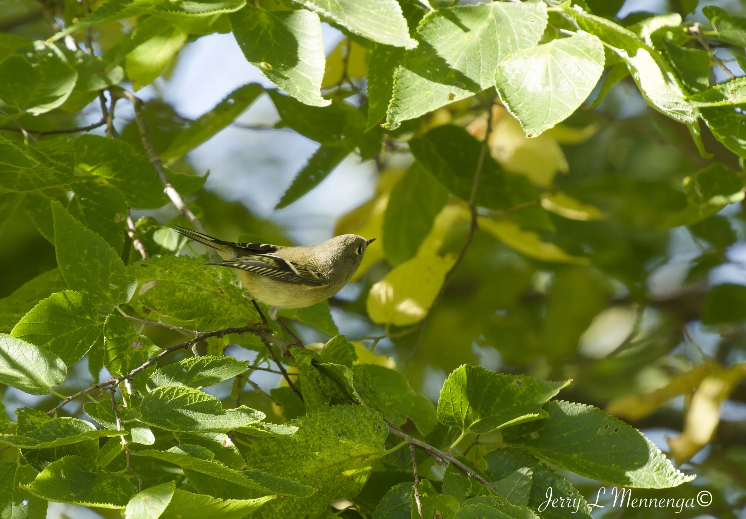 BirdsFallAdamsHomestead202610-06_0351_DxO.jpg