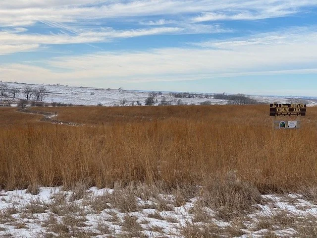 Westfield Christmas Bird Count