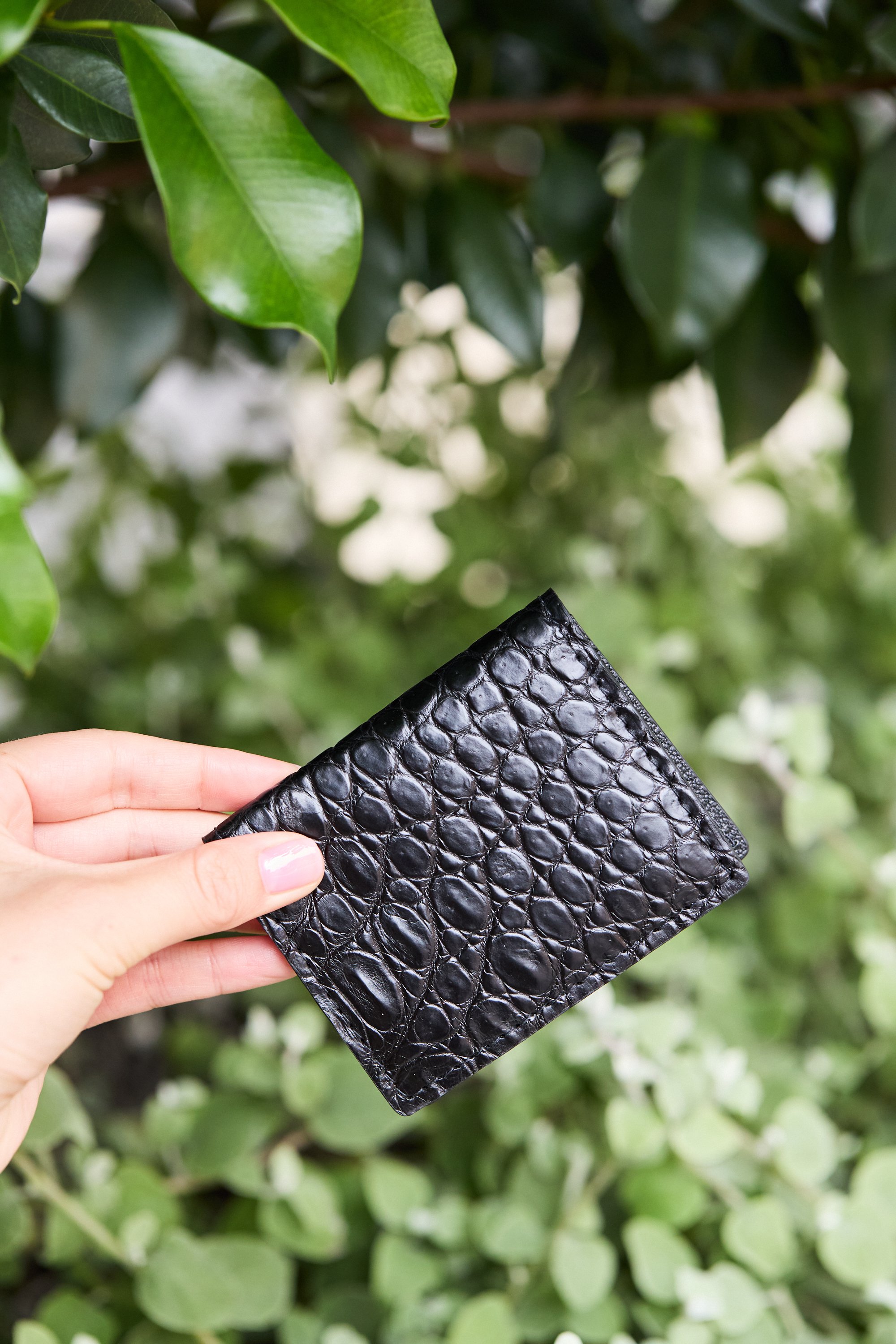 Card Wallet