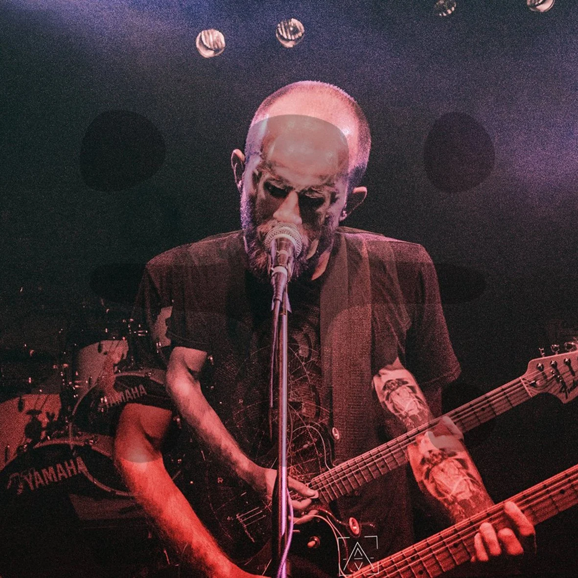 Somnușor lansează Cuvinte Cuvinte și Fără Cuvinte