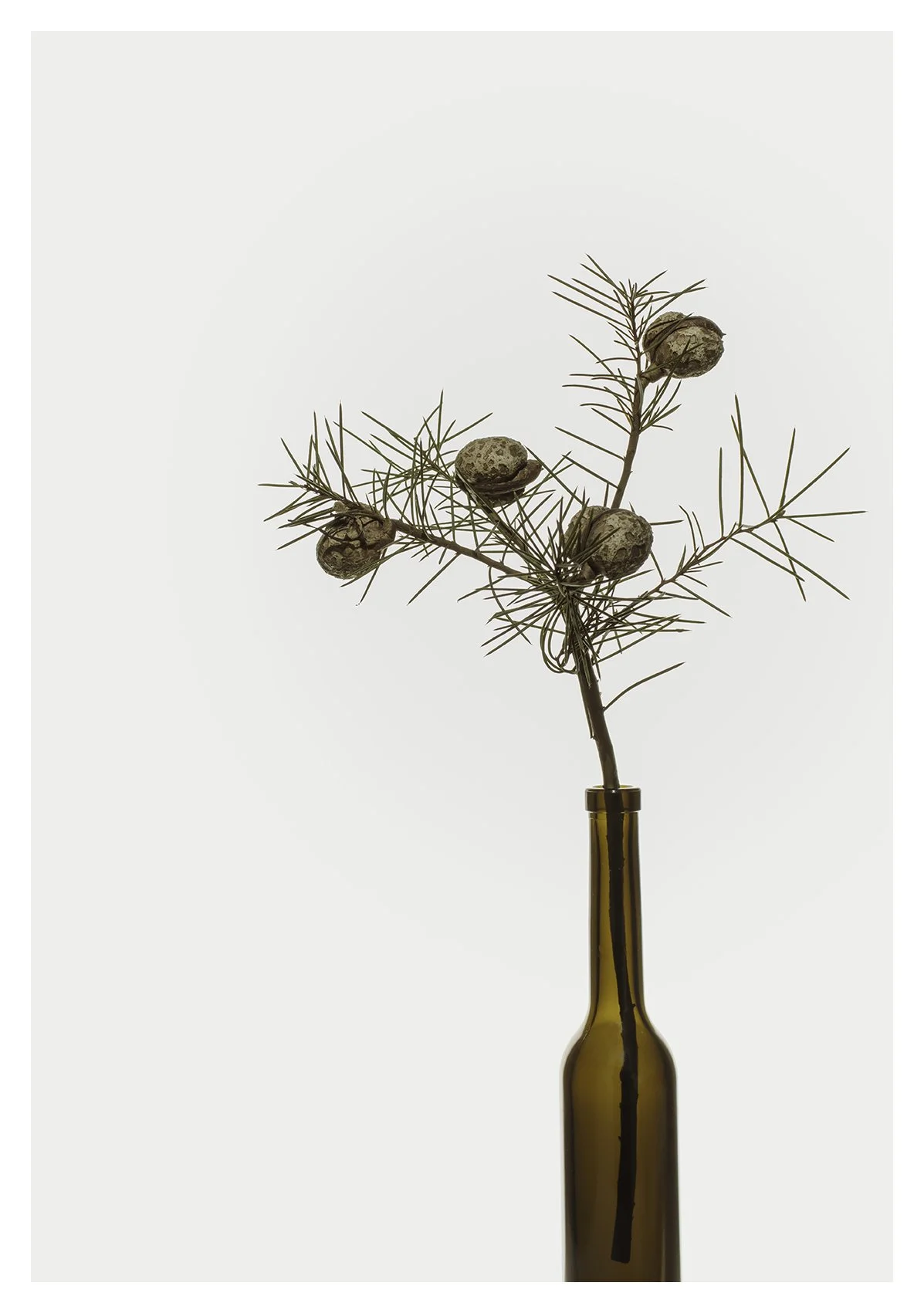 high key_from the bottle_website.jpg