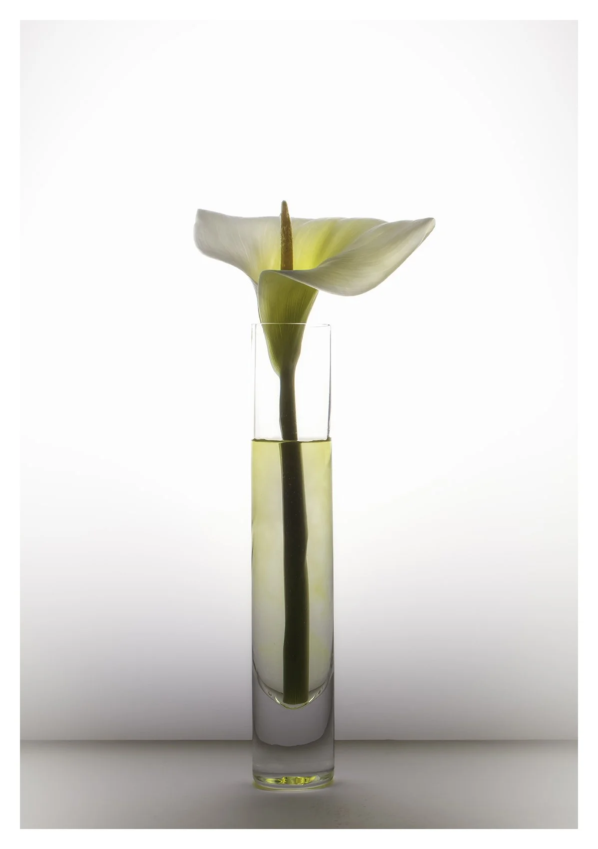 high key_standing alone_website.jpg