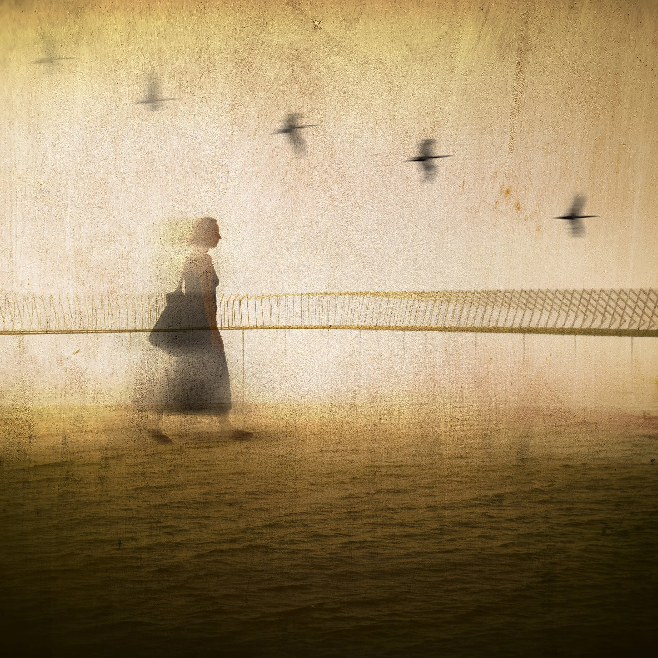 walking on the water_.jpg