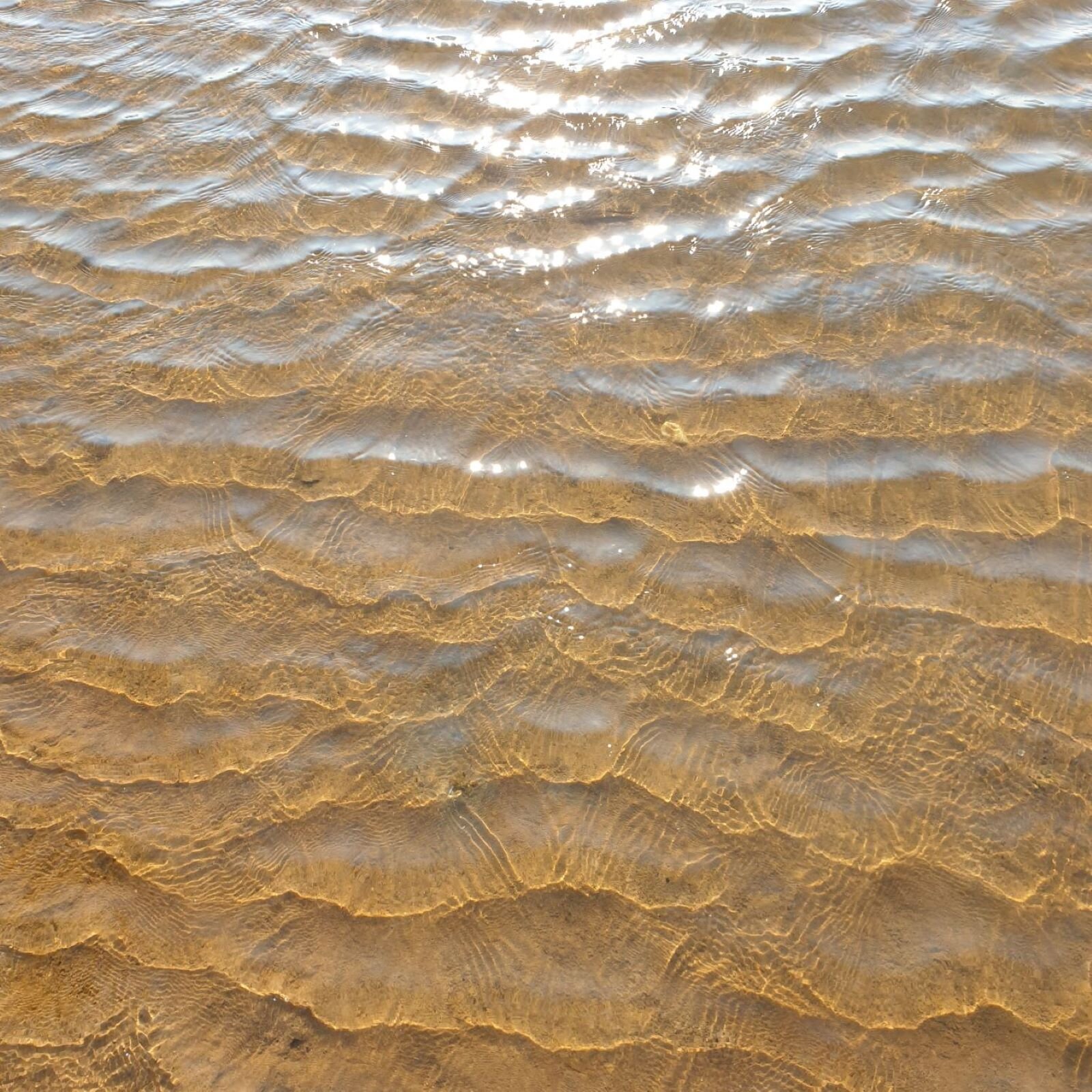 Rippling sea over a sandy beach sun glistens on the water