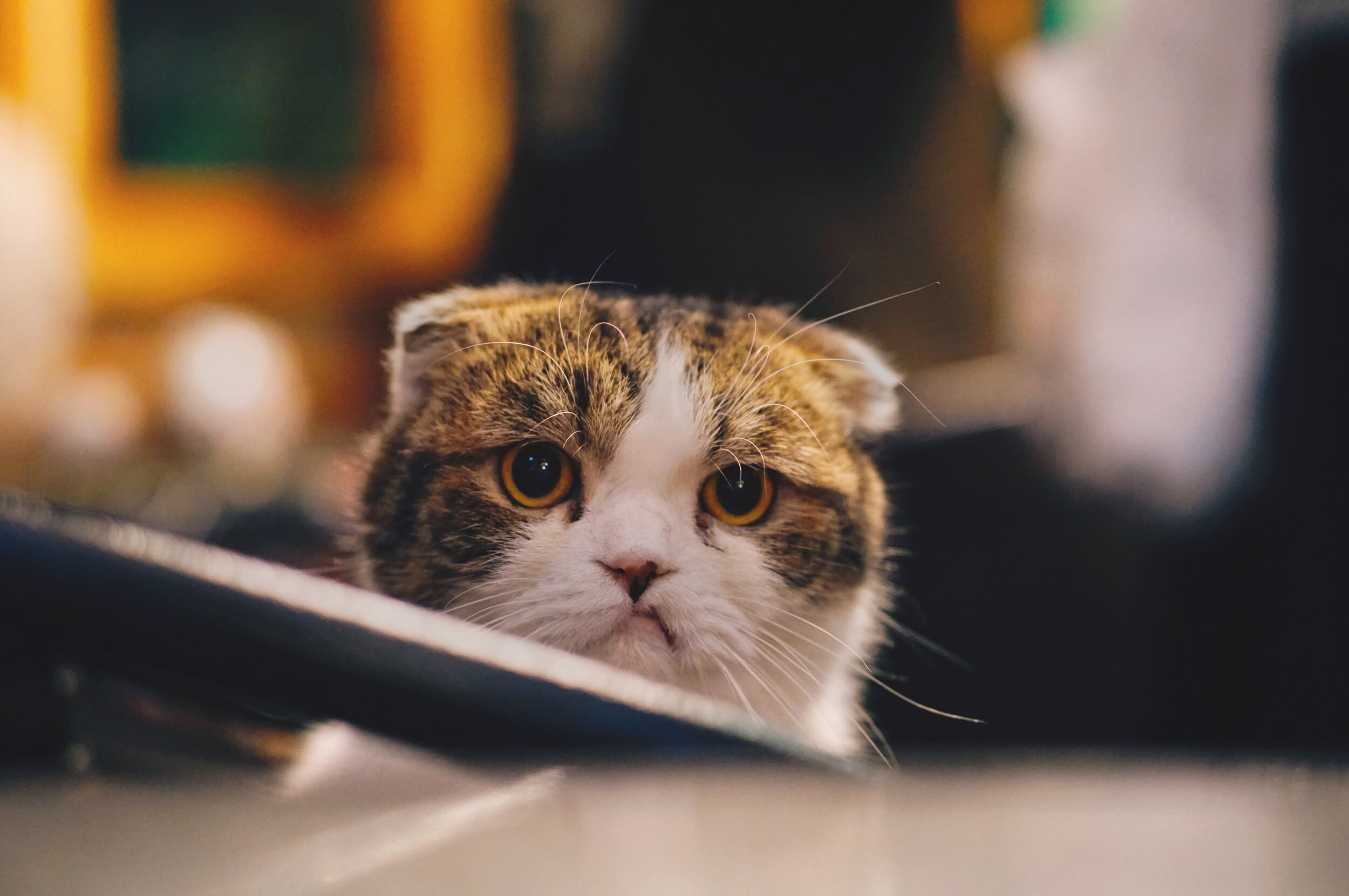 Life's too short to spend your time policing a VFX vendor