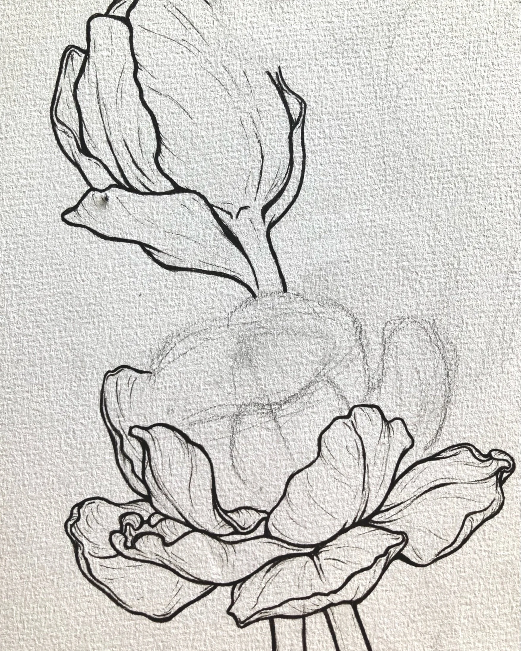 First Sketch and Ink