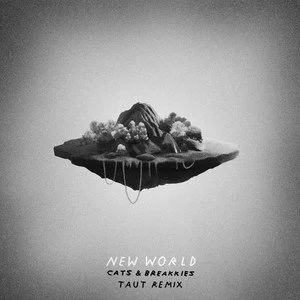 New World (Taut remix).jpeg