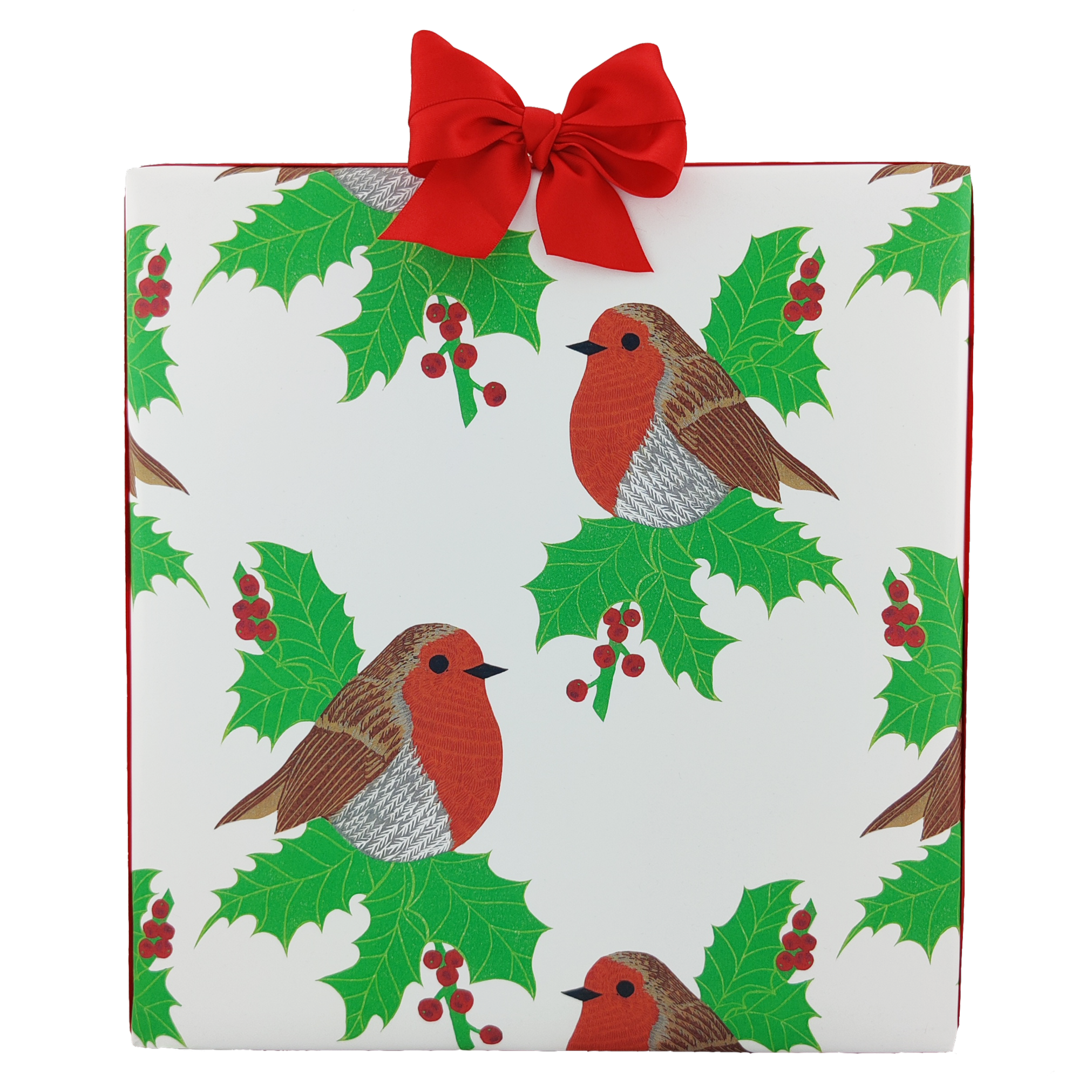 Robin Wrapping Paper
