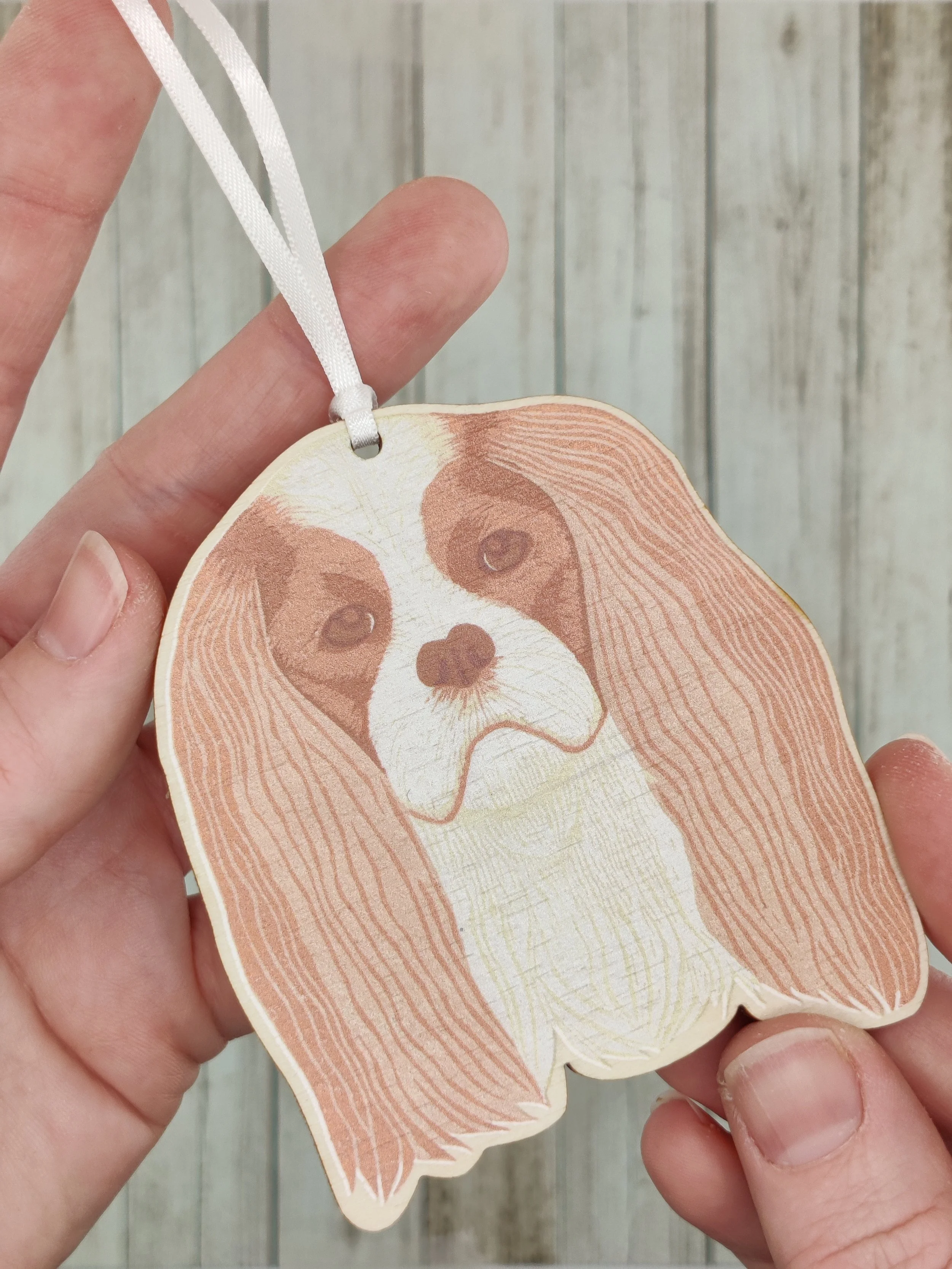 King Charles Spaniel