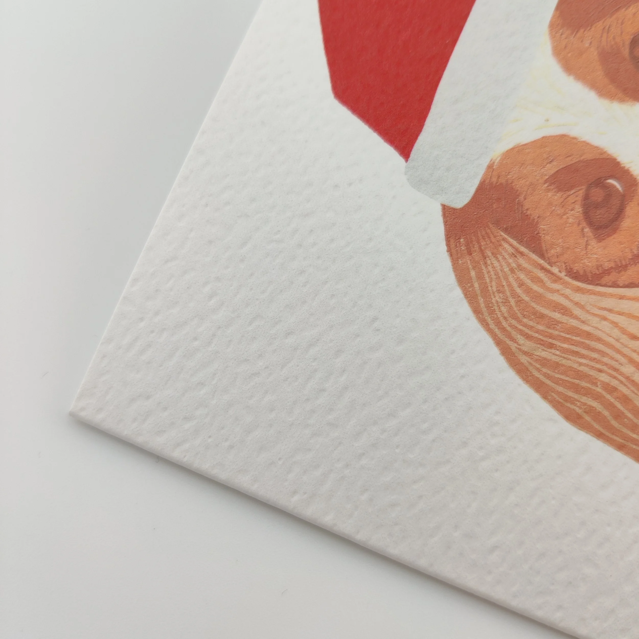 Cavalier King Charles Christmas card close up (1).jpg