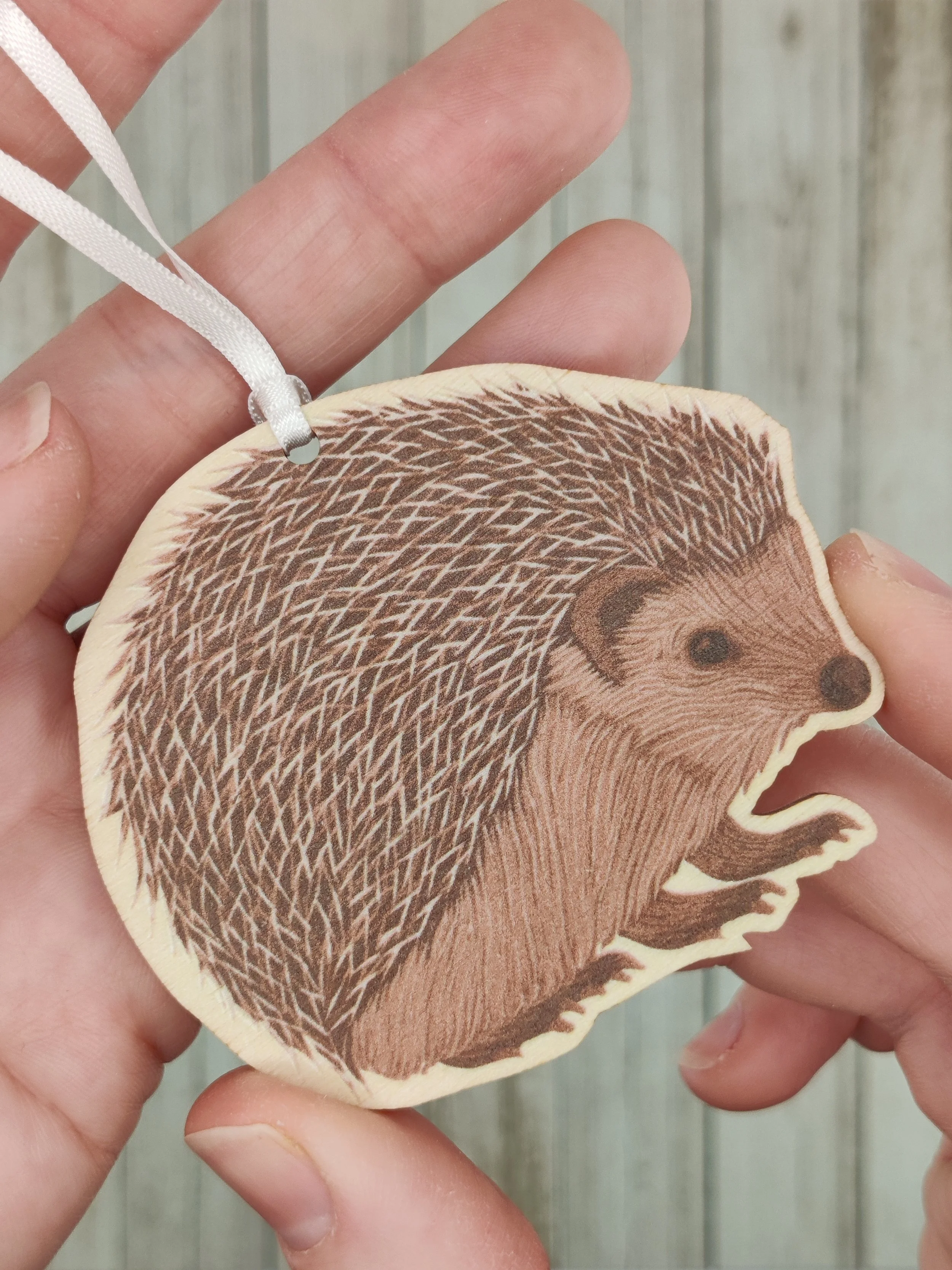 Hedgehog Gift