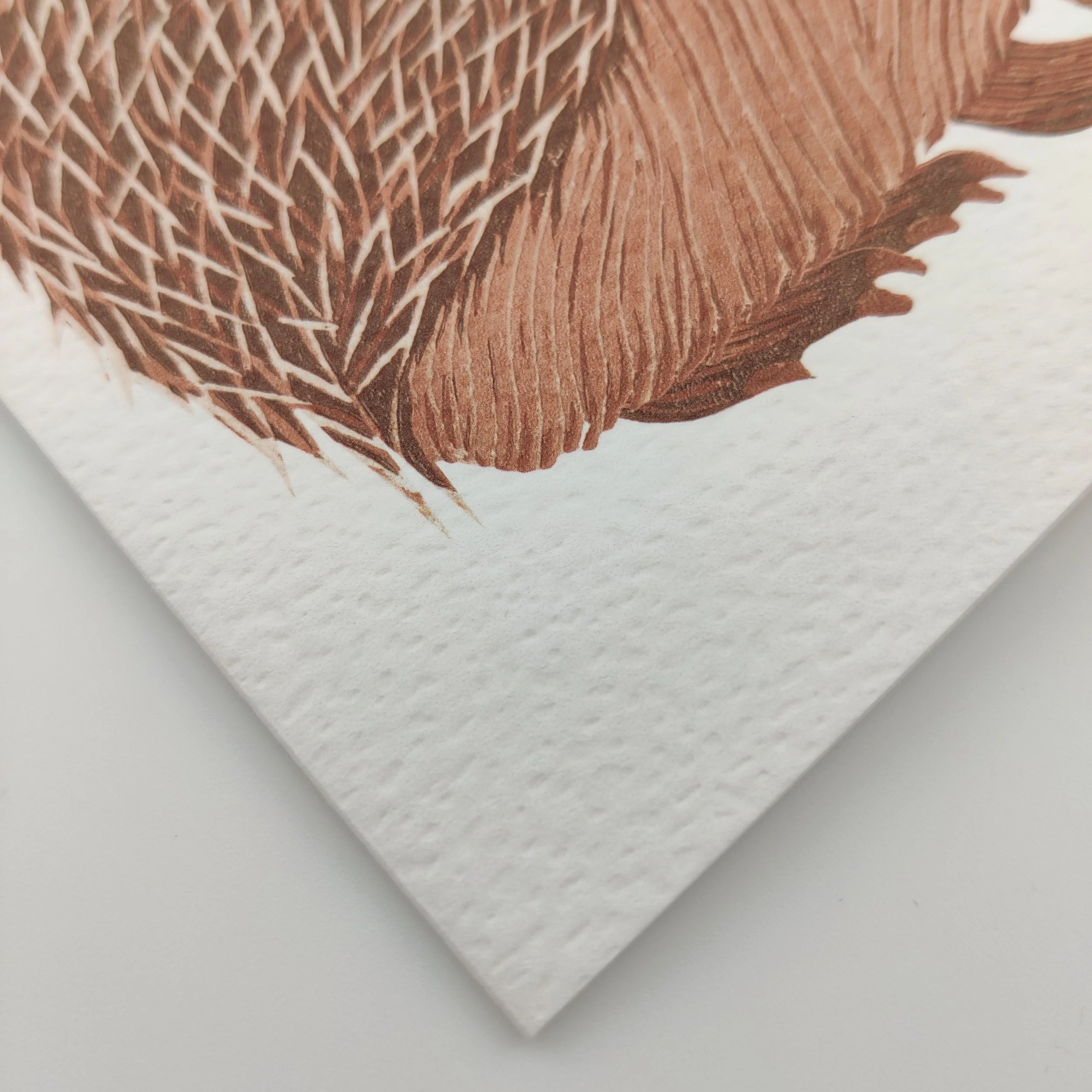 Hedgehog Christmas Card close up (1).jpg