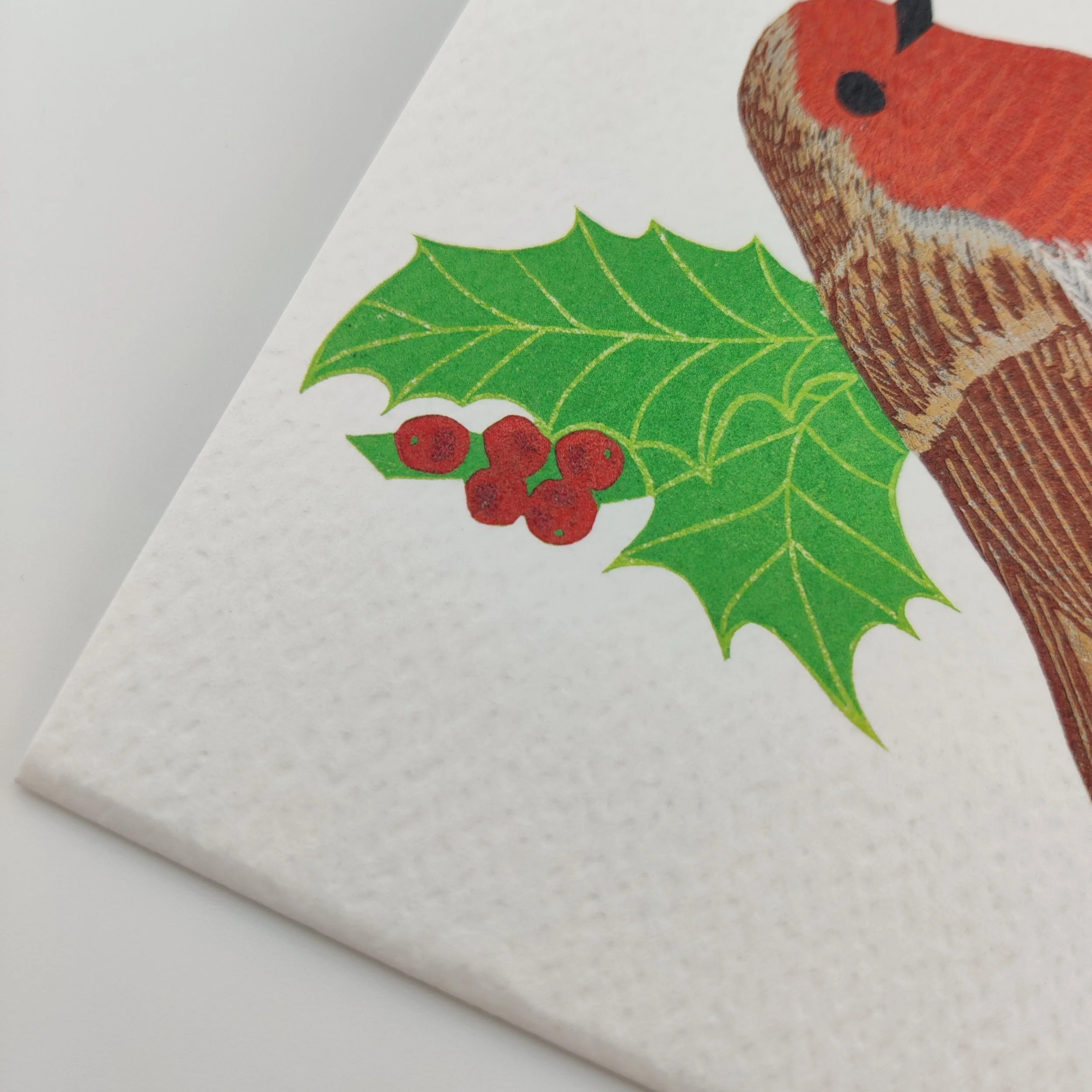Robin Christmas Card close up (2).jpg