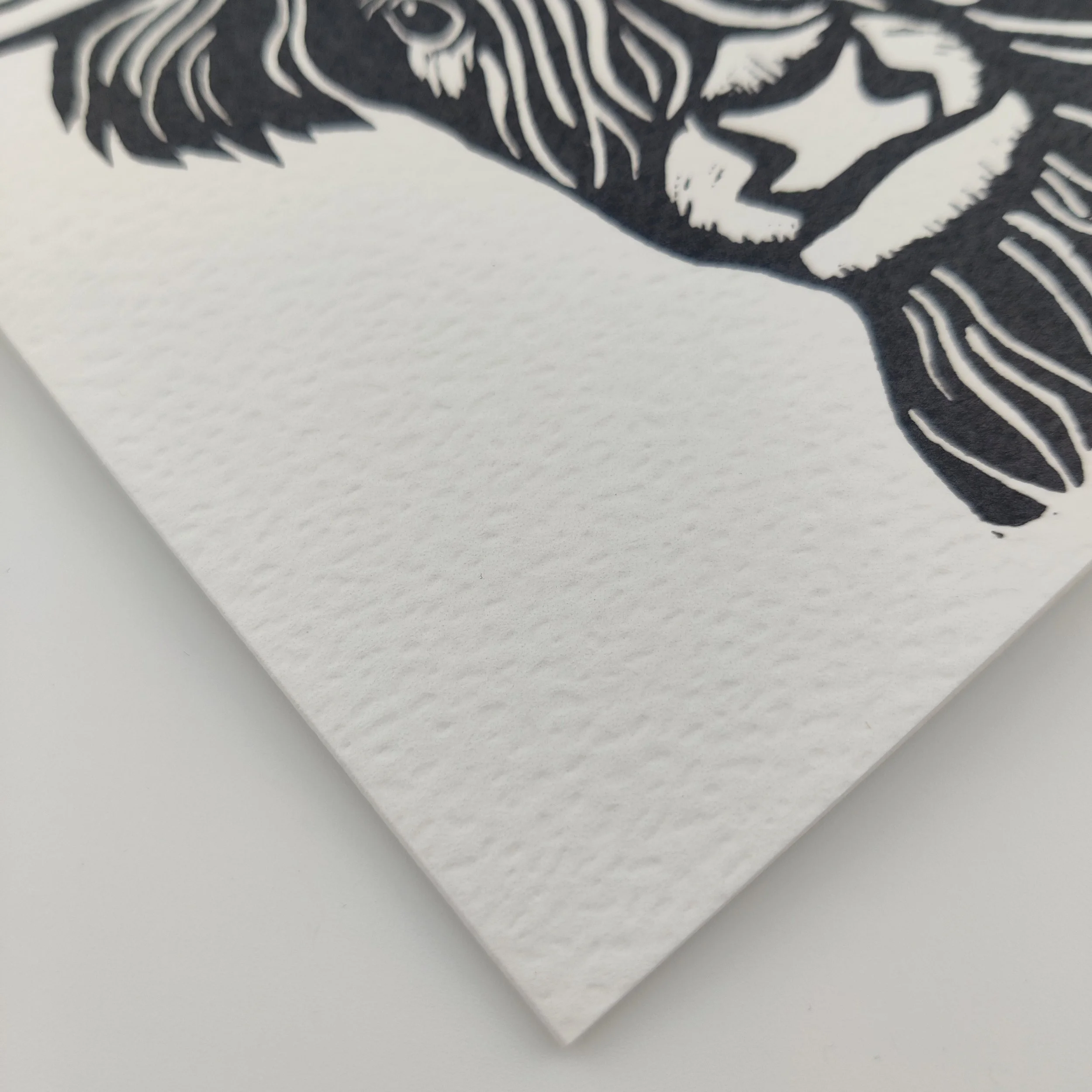 Highland Cow Card Close up Christmas (1).jpg