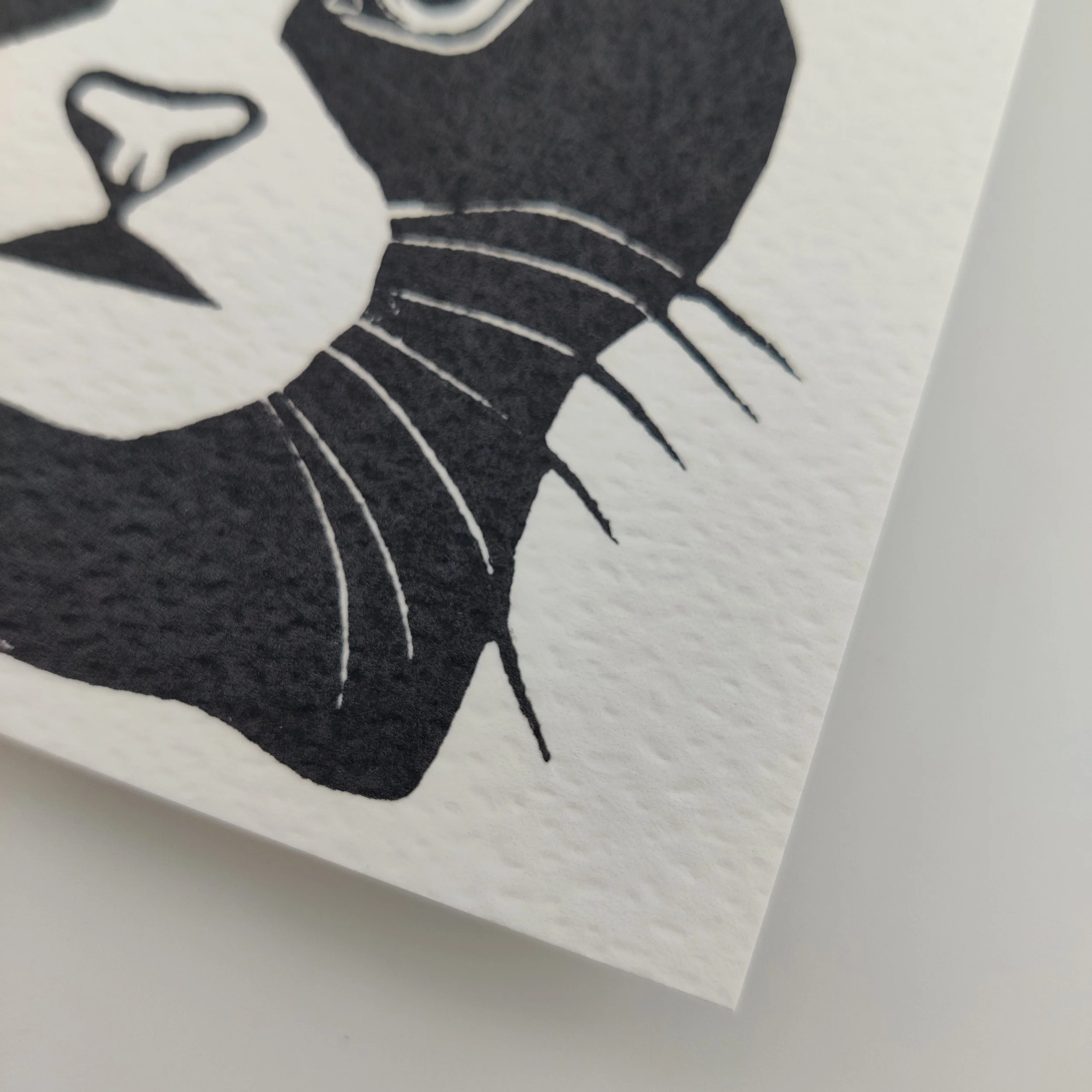close up black cat christmas card (1).jpg
