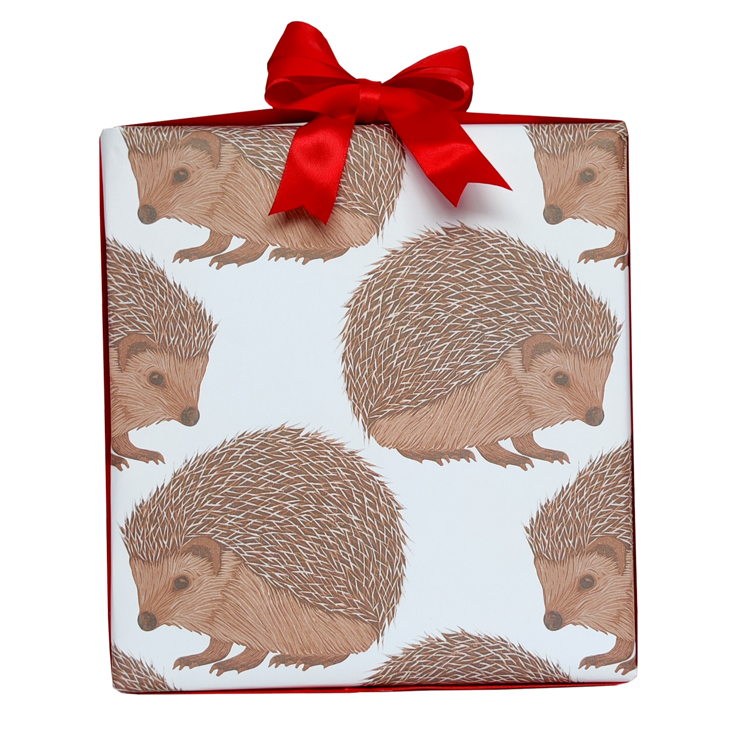 Hedgehog Wrapping Paper