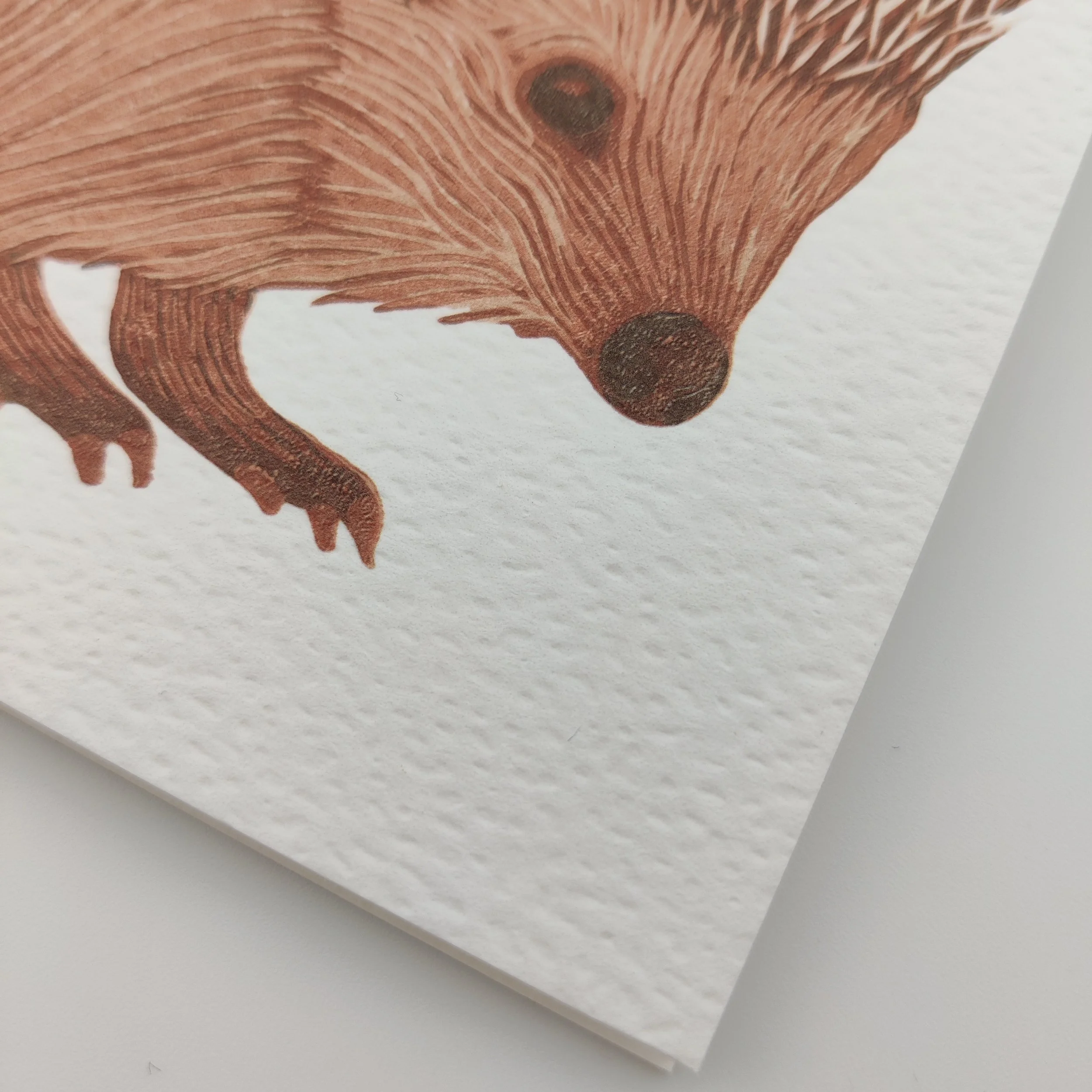Hedgehog Christmas Card close up (2).jpg