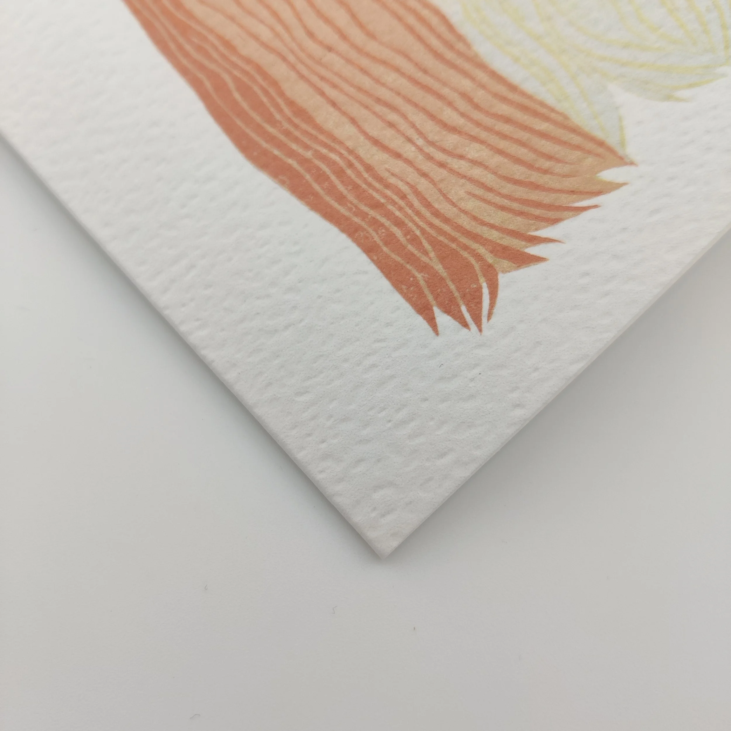 Cavalier King Charles Christmas card close up (2).jpg