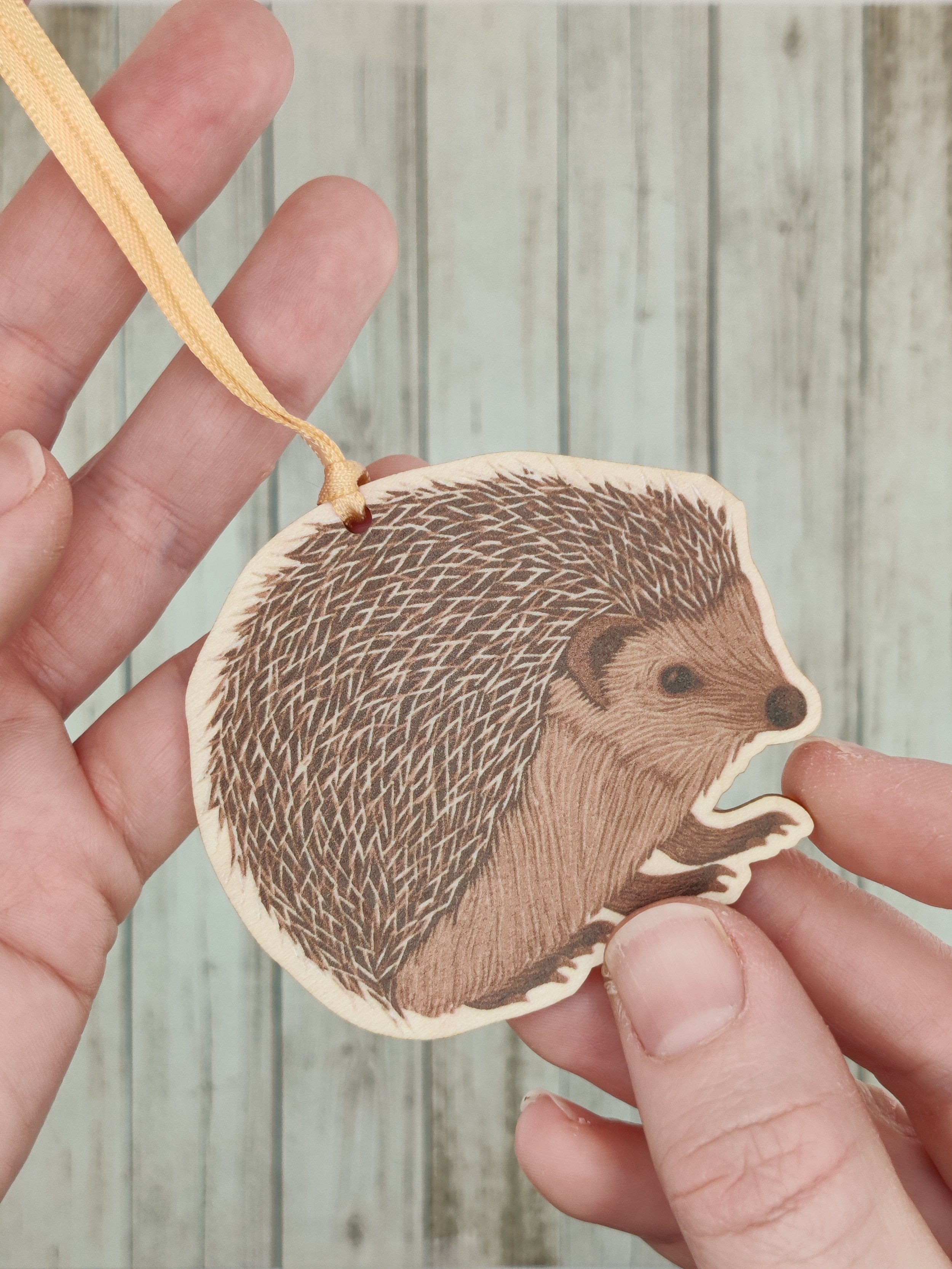 Hedgehog Gift
