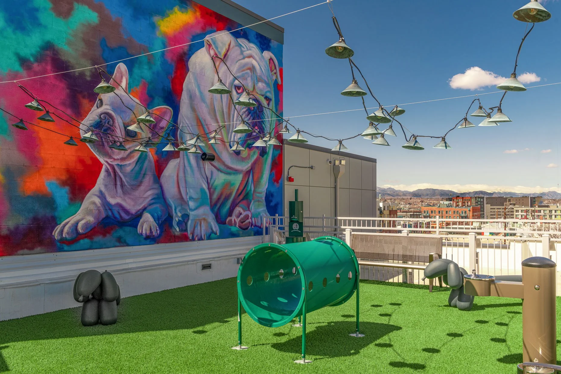 Rooftop dog park at AVA RiNo Apartments in Denver with bright bulldog mural, string lights, turf grass, and green play tunnel overlooking the city and mountains.