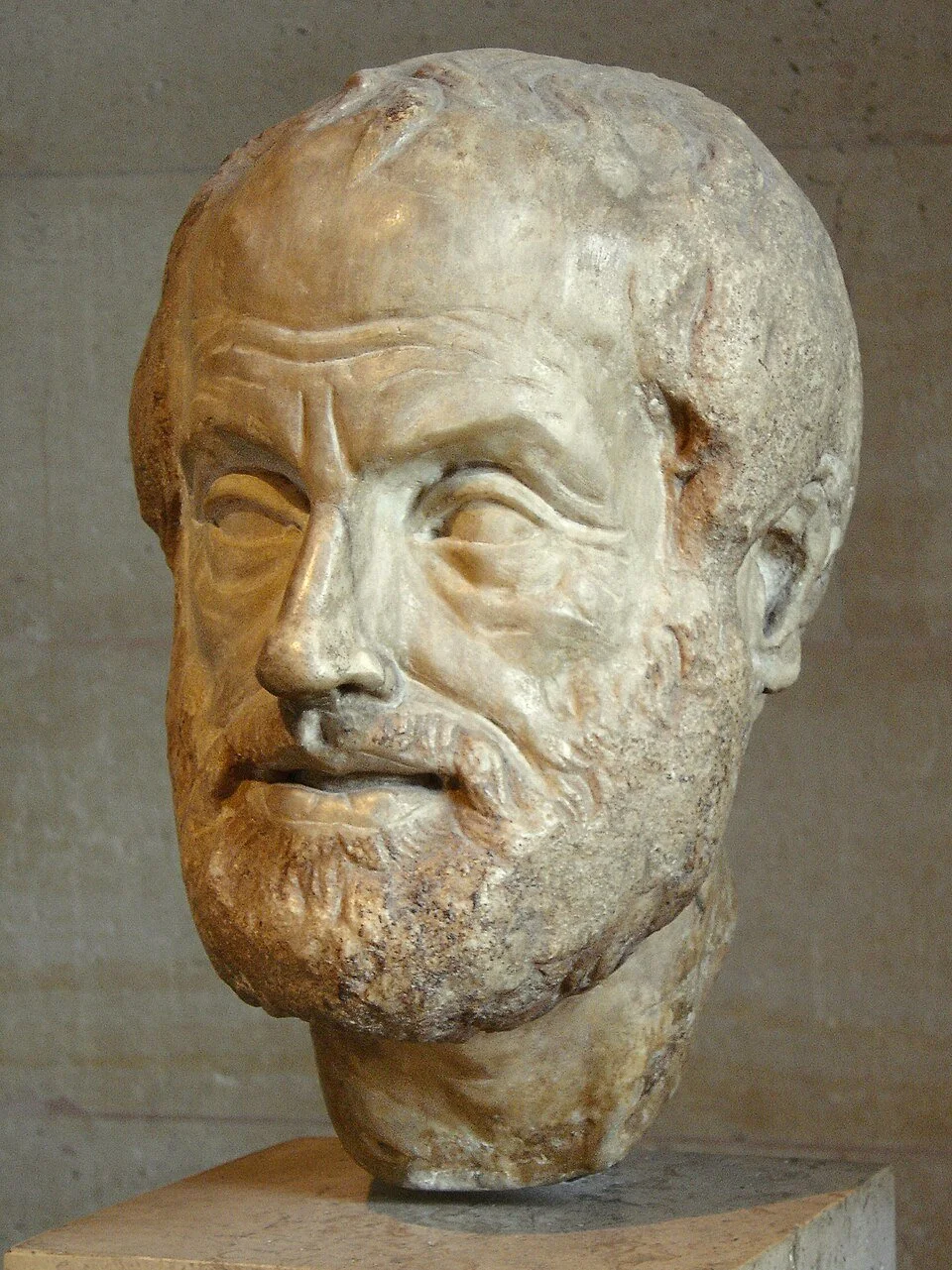 Politics with Aristotle