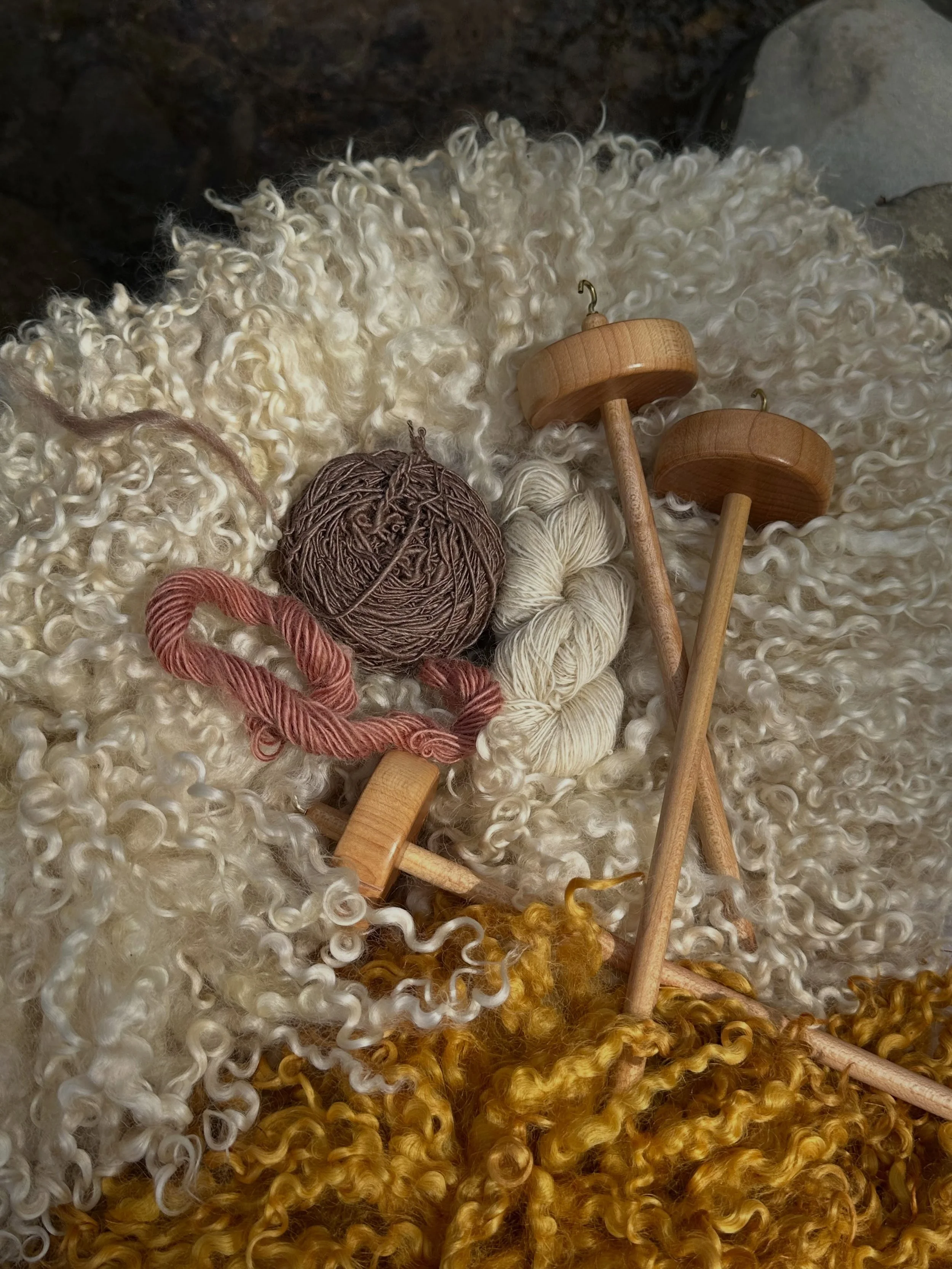 I&rsquo;m teaching two workshops this fall at my amazing place of work, @nobletownfiberworks ! I get to make yarn and play with wool all day here and if you&rsquo;re near Hillsdale, NY you can check out the space and learn some wooly crafts :)

First