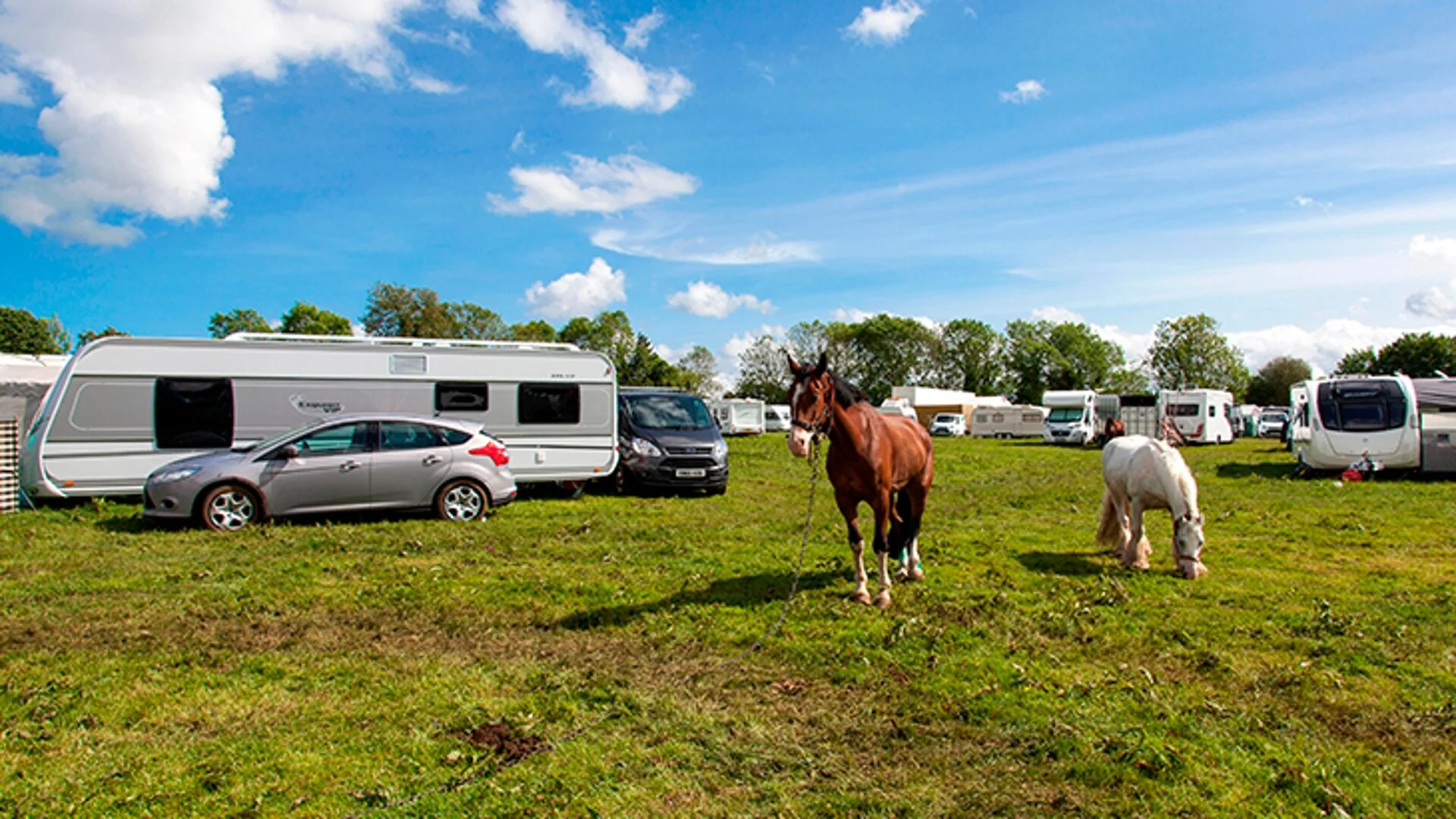 A celebration of friendship: Common Ground, by Naomi Ishiguro, reviewed