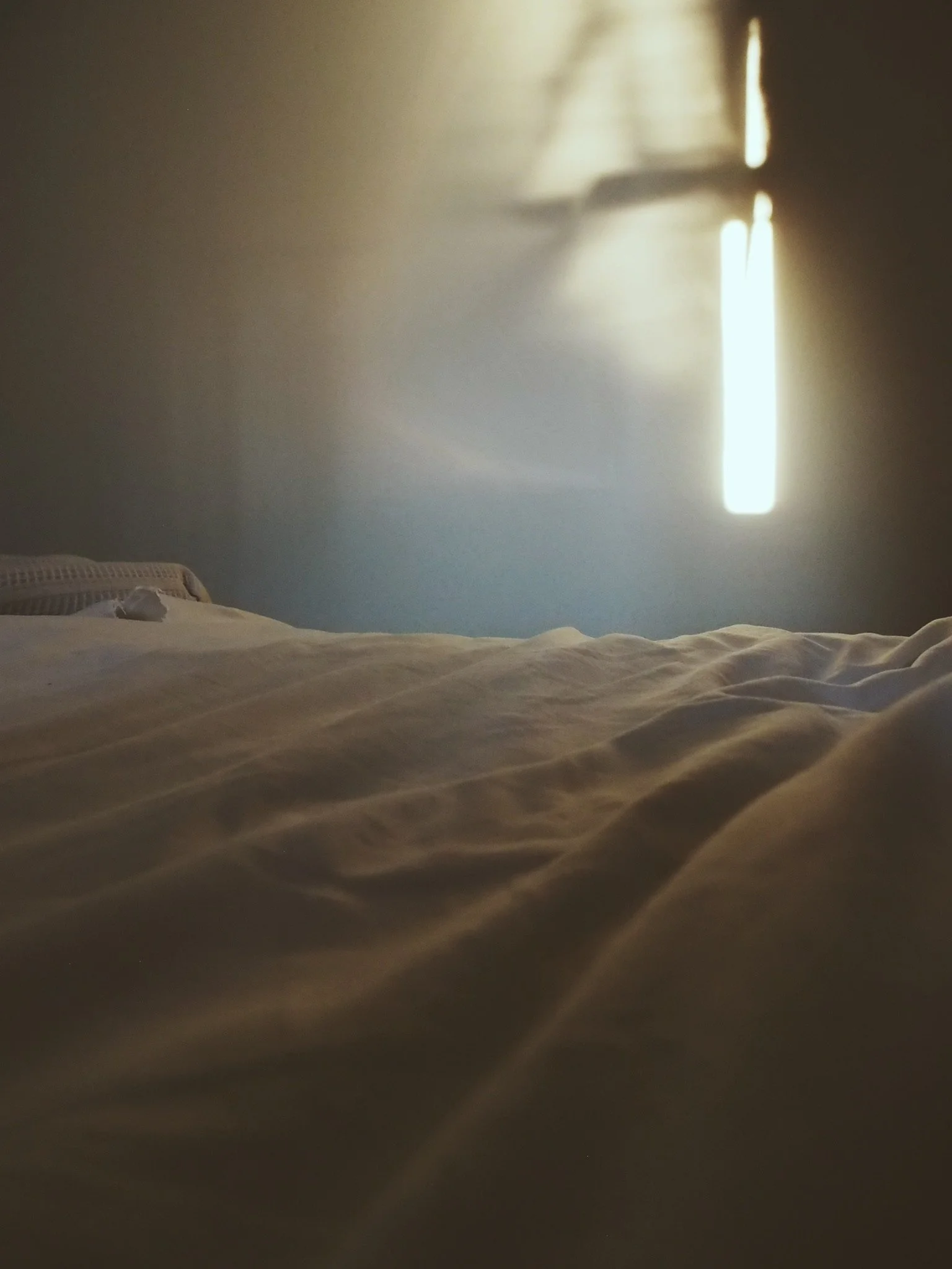 45580FF8-7CCB-4094-B865-C4E651719167.jpeg