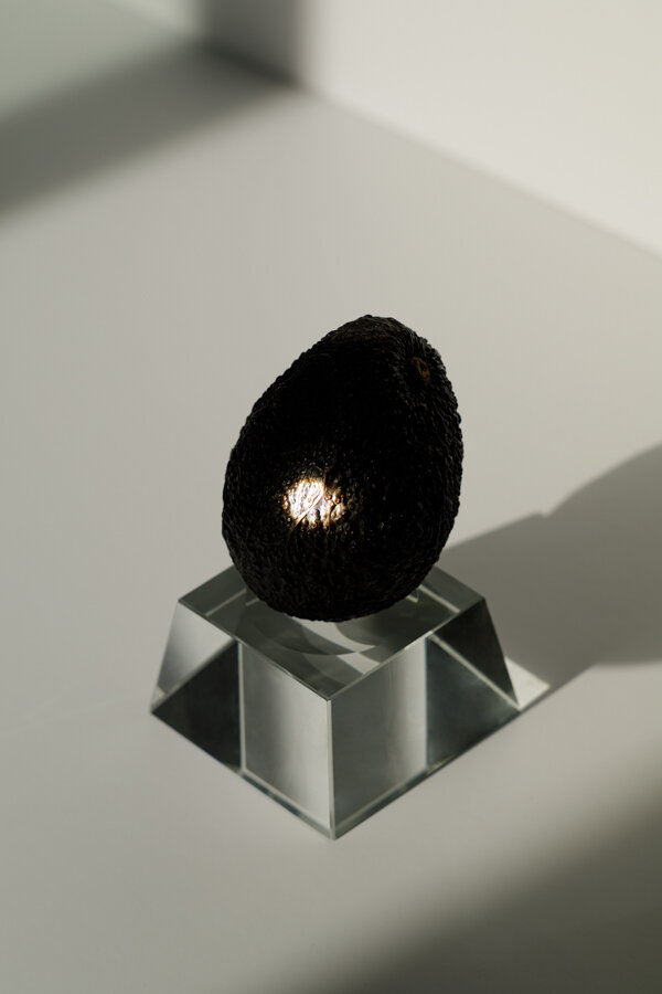 Yi-Chen-LEE-conceptual-photographer-contemporary-art-creation-artfair-avocado-sunlight-stilllife-naturemorte-法國-巴黎-藝術-觀念攝影-創作-攝影師