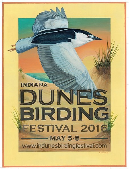 IDBF 2016 poster.jpg