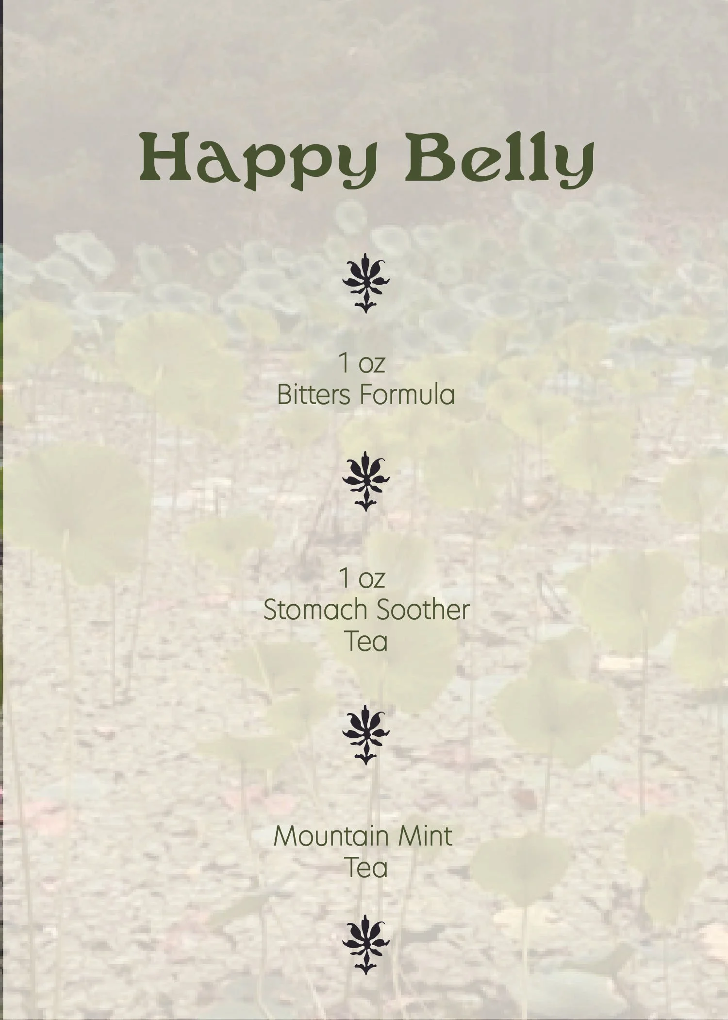 holiday bundle images website-07.jpg