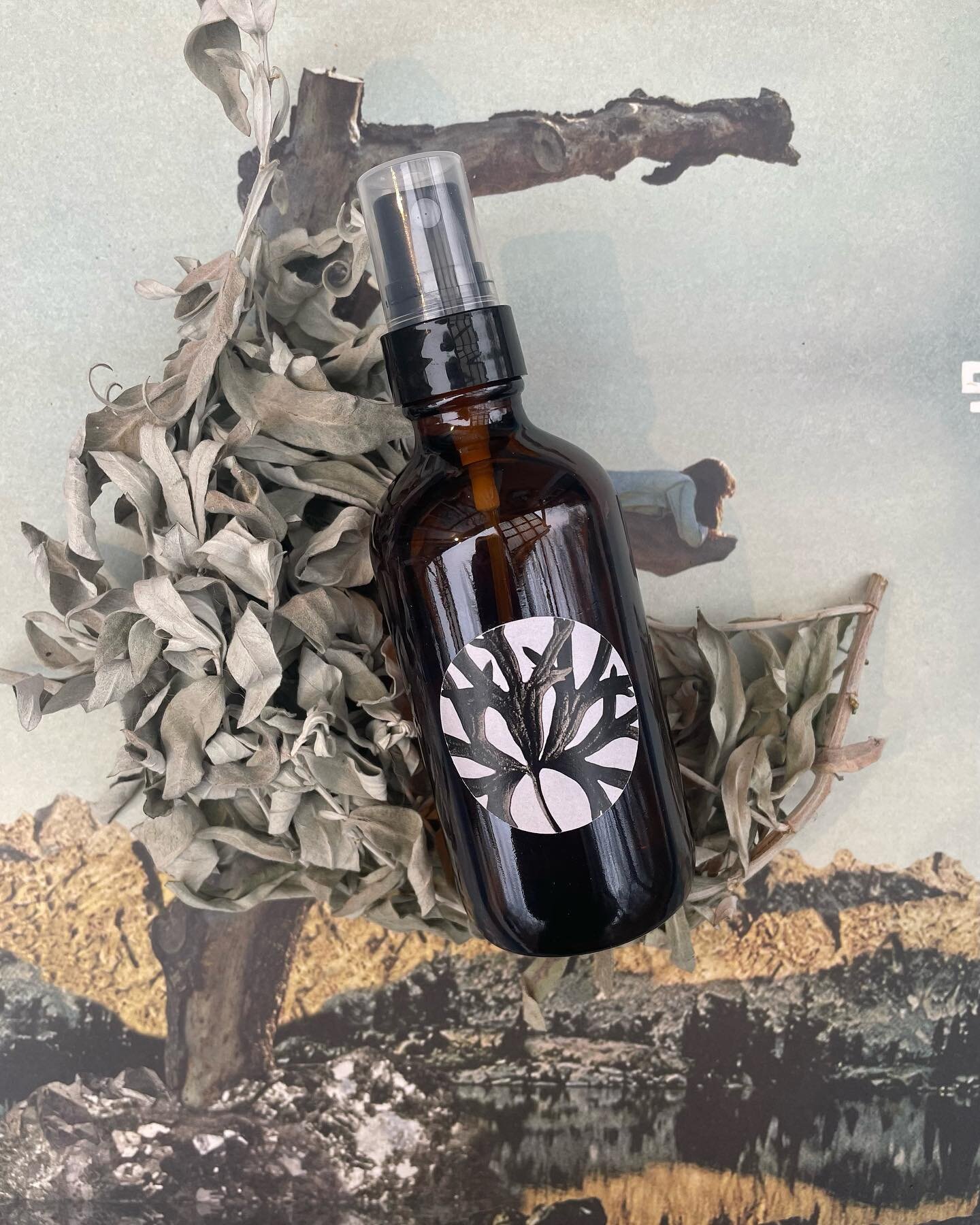 Artemisia Botanical Mist 🏹

Vulgarius ▪️ Ludoviciana ▪️
Annua ▪️ Princeps ▪️

We are still beaming from the full moon 🌕 and wanted to share about the artemisia mist we made for our Old Ways seasonal collection. 

It is an ally for deepening your co