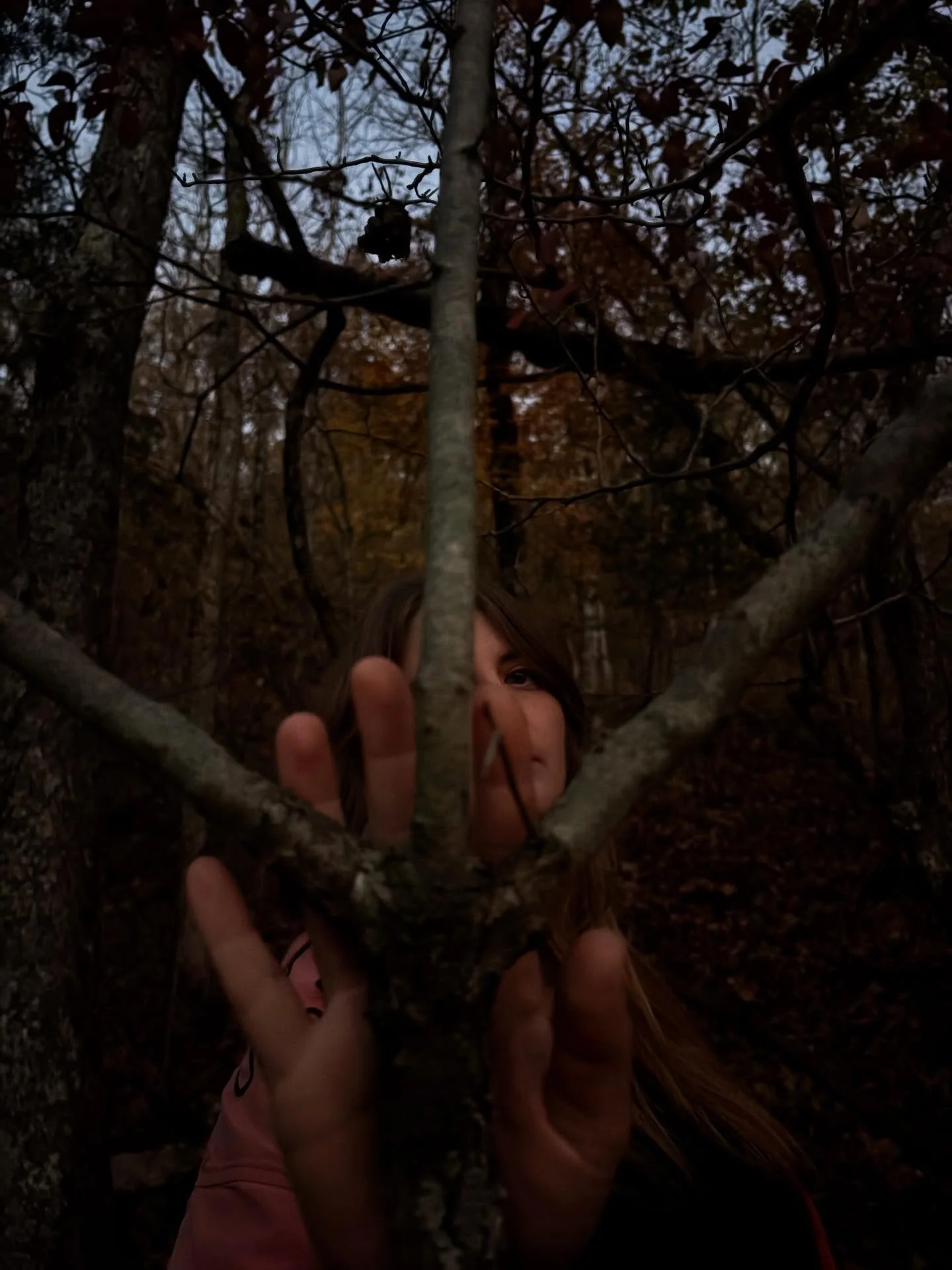 1.Hawthorn before the shooting star,
2.hills of fire,
3.butter &amp; molasses,
4.cauldron seasoning,
5.shared stillness,
6.thru the hag stone,
7.young maples let go,
8.frost flowers at sunrise,
9.foxglove returns,
&amp;
10.a sweet lucky Penny