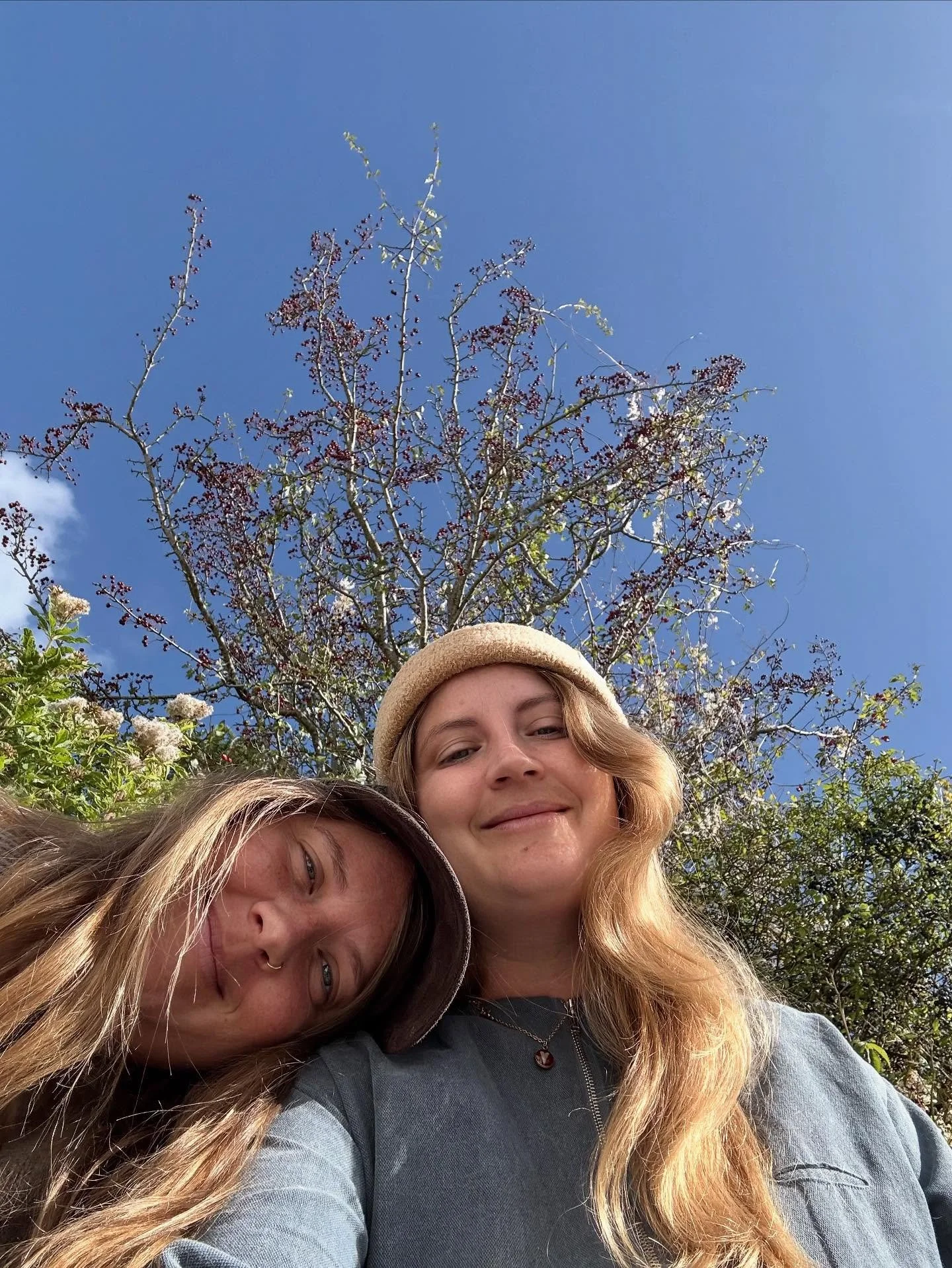 Hiiiiiiiii, we missed you ❣️

We are back in the apothecary after our long break. So much is still going in the garden and to our surprise because it has felt as if we have been gone for years lol rather than weeks. We harvested another round of moun