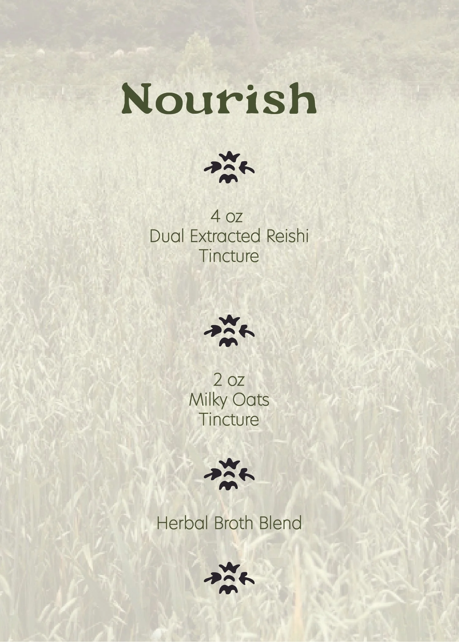 holiday bundle images website-05.jpg