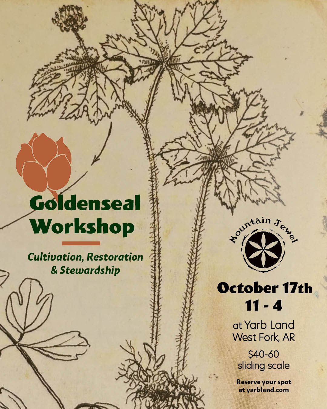 goldenseal workshop.jpg