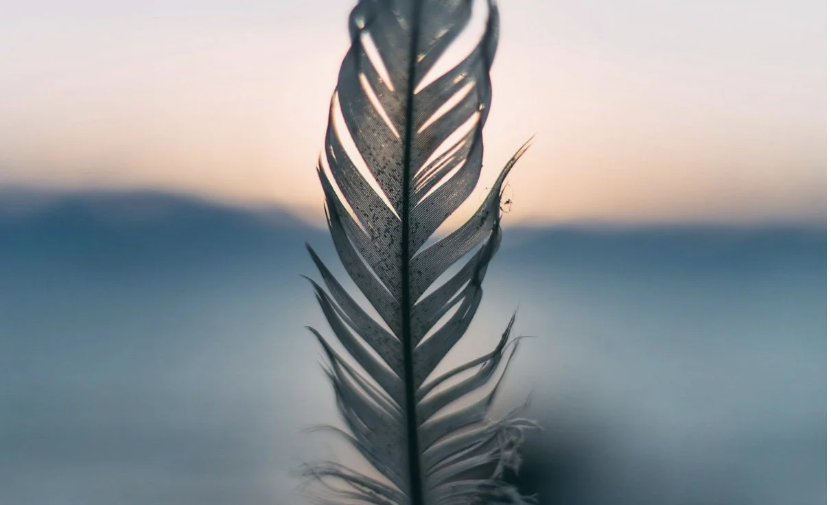 Trauma-Informed End-of-Life Care to Break the Silence