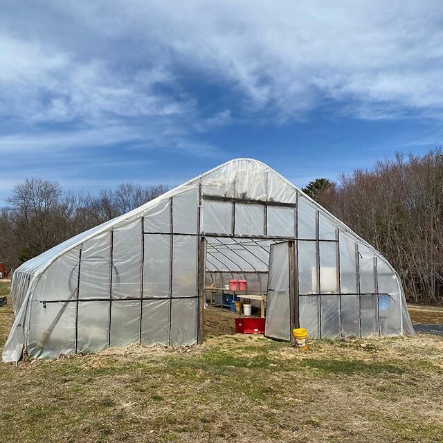 Leafy greens growing on these sunny days of spring! #csa #mainefarmers #mainefarm #farmingtonmaine