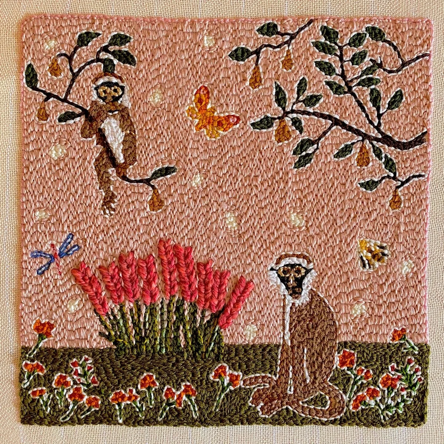 Vervet Monkeys and Pear Trees