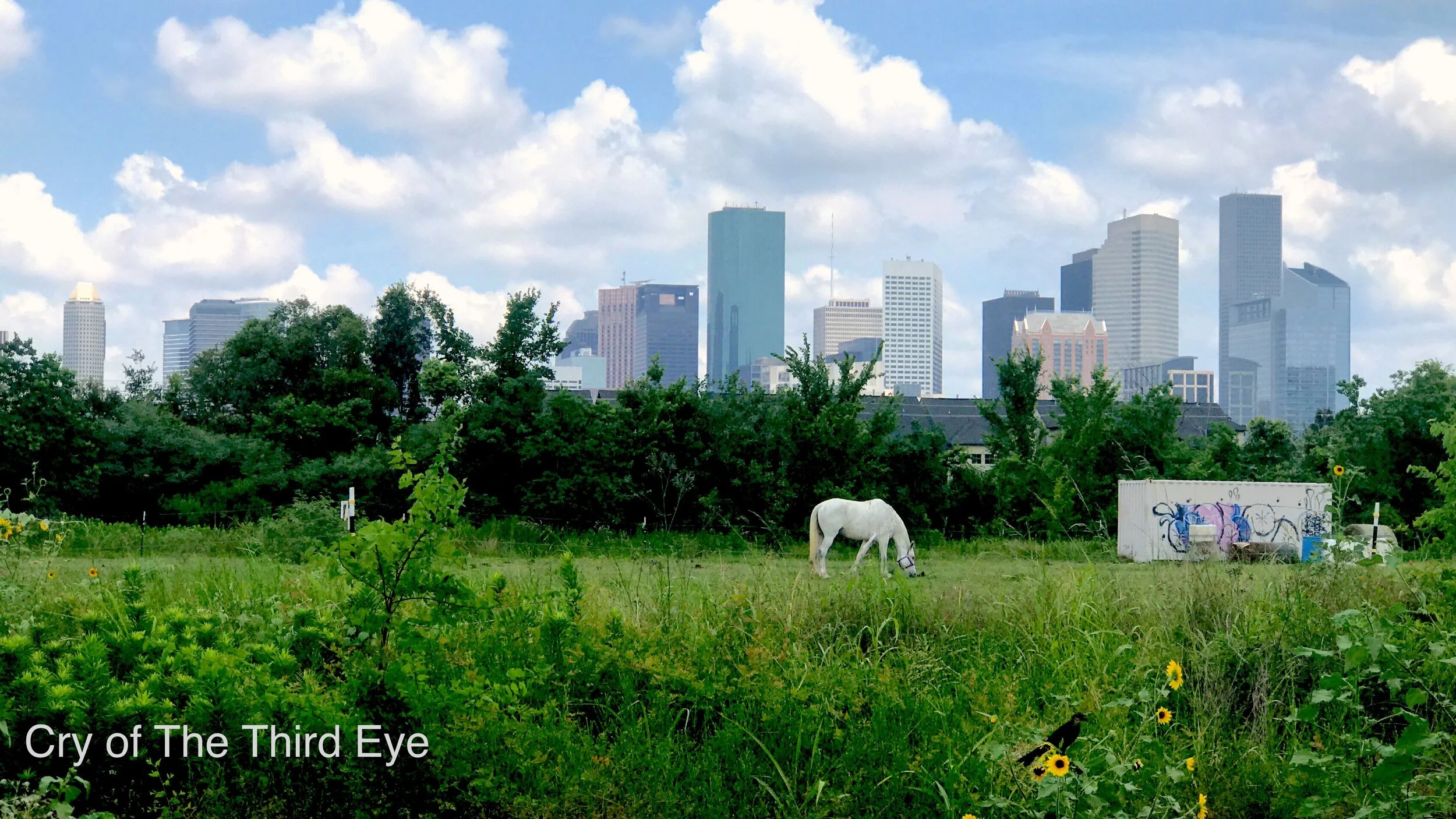 Cry of the Third Eye Thumbnail .jpg