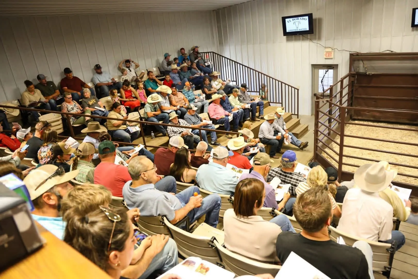 2026 Horse  Sale Crowd.jpg