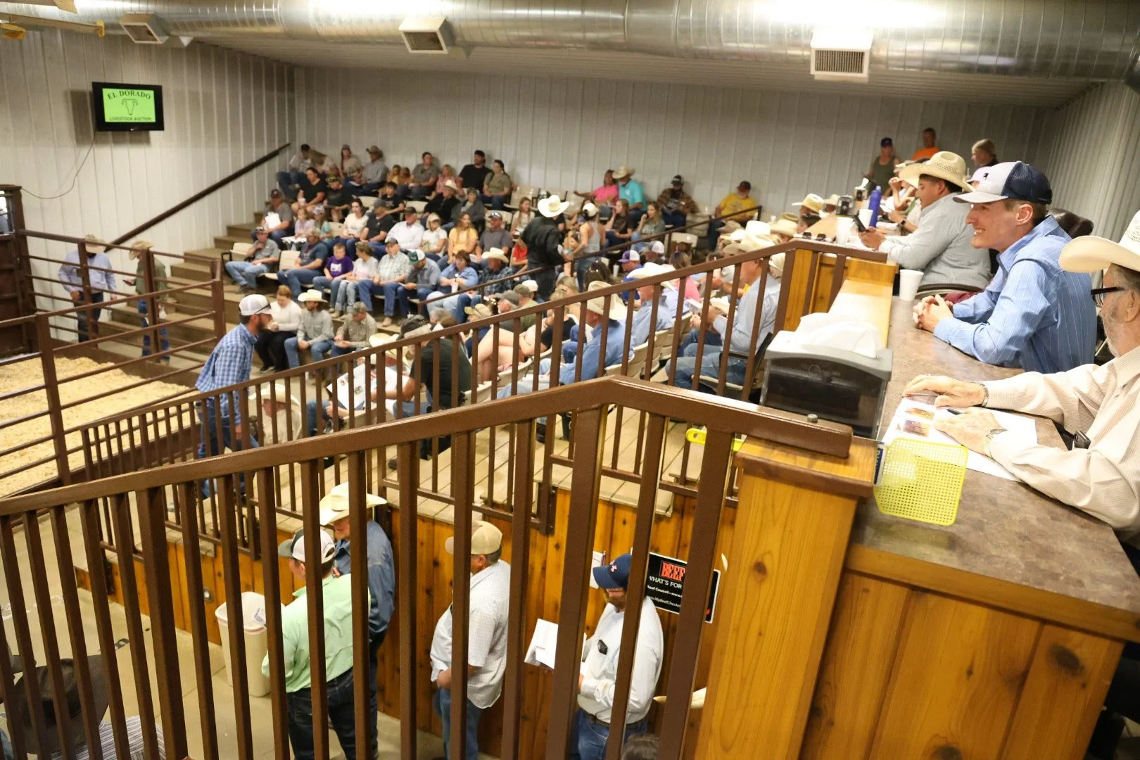 Crowd.jpg
