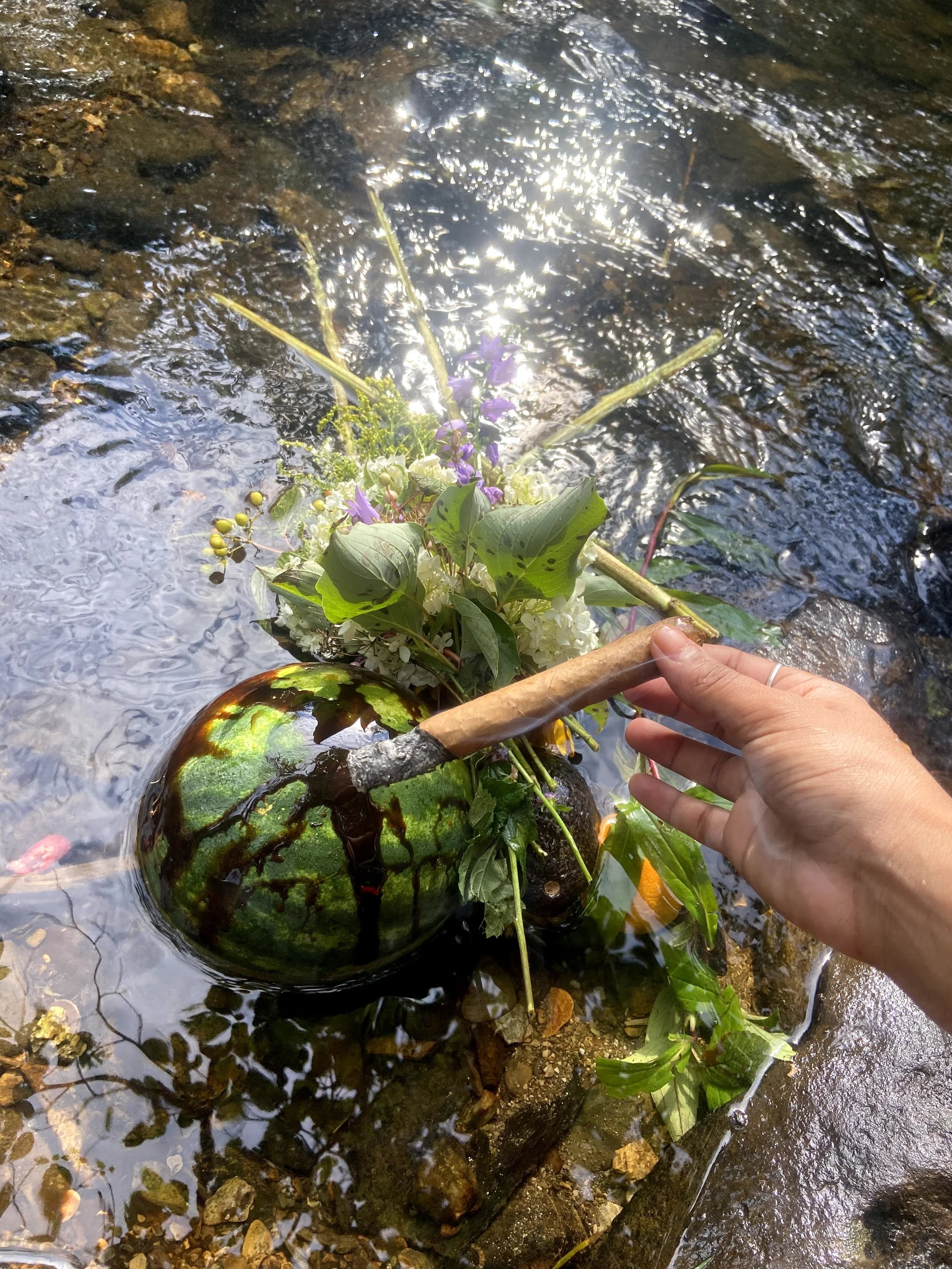 IMG_7984_Original 2.jpeg